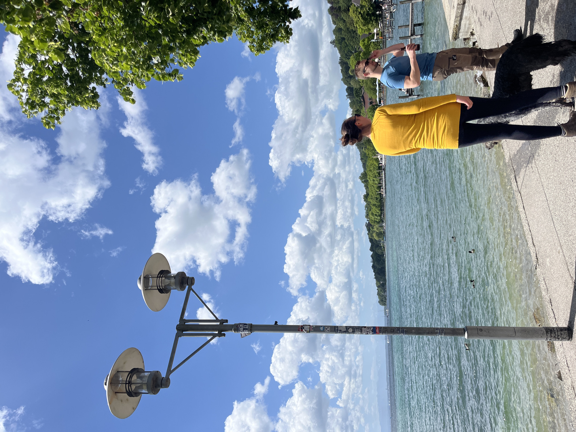 A frontal medium shot captures a bright, sunny day at the Starnberger See in Germany, with a clear blue sky dotted with fluffy white clouds. In the foreground, a tall lamppost with two lamps stands on the left, adorned with several stickers. To the right of the lamppost, a paved walkway borders the shimmering blue water of the lake.
On the walkway, two individuals and a large, shaggy black dog are present. A woman wearing a bright yellow long-sleeved shirt and black leggings stands with her back to the camera, facing the lake. She has her hair pulled up in a bun and is wearing sunglasses. To her right, a man in a blue t-shirt and tan cargo pants is also facing the lake, wearing sunglasses and holding a bottle in his right hand. The black dog stands between them, facing away from the viewer.
In the background, across the lake, a line of trees and buildings forms the shoreline, with a hint of mountains in the far distance. Several sailboats and other watercraft are visible on the lake, suggesting a recreational atmosphere. The water is calm with gentle ripples, and a few ducks are swimming near the shore. The overall scene depicts a pleasant day outdoors, likely in a popular lakeside area.