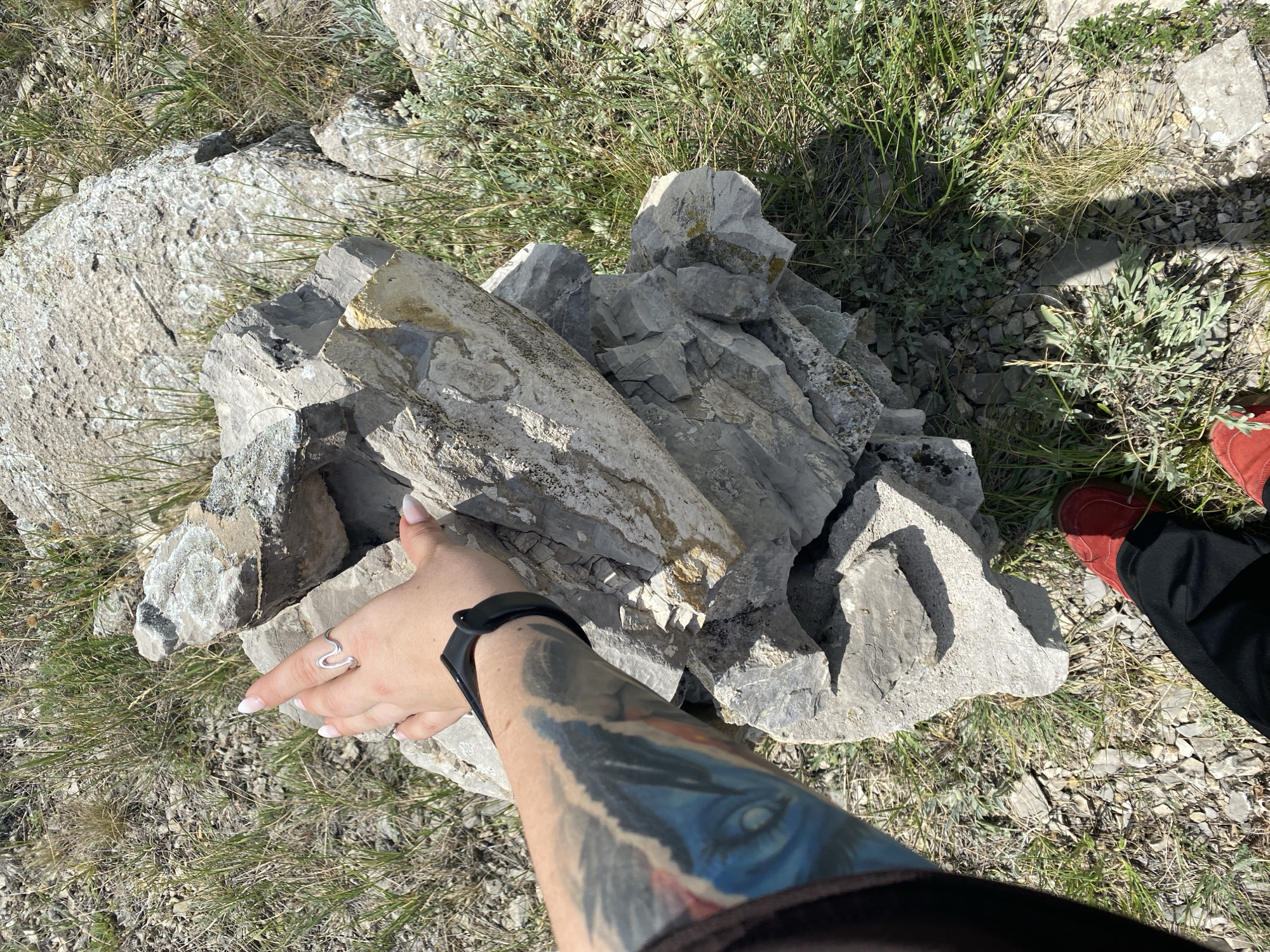 An overhead shot shows a person's left arm, hand, and lower legs standing on a rocky, grassy terrain. The person's arm, adorned with a colorful tattoo of a blue eye and feathers, extends towards the center of the frame, touching a large, gray, angular rock formation with their right hand. A silver ring with a wavy design adorns their index finger, and a black fitness tracker is worn on their wrist. Their lower legs, clad in black pants and red shoes, are visible in the bottom portion of the image. The environment appears to be a natural landscape with scattered rocks and dry grass. The provided metadata does not contain information regarding the location of Yuldybaevo, Russia.