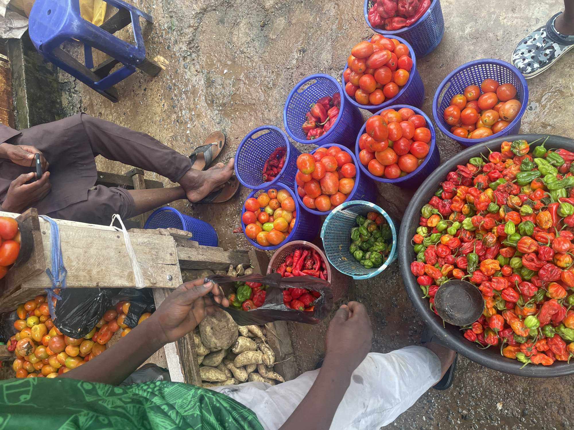 This is a medium shot of a street market scene in Abuja, Nigeria, focusing on a vendor selling vegetables. The ground is wet and appears to be a dirt or concrete surface, suggesting it may have recently rained or is a place where produce is washed. In the foreground, a large black bowl is filled with a colorful assortment of ripe red and green bell peppers and habanero peppers. To the right of the bowl, a person's foot wearing camouflage Crocs is visible, suggesting they are a customer. Behind the bowl, several blue plastic baskets are filled with tomatoes of varying shades of red and orange. To the left, a person wearing a bright green patterned shirt and white pants is holding a black plastic bag filled with red peppers and some green peppers, appearing to be a vendor interacting with customers. A rustic wooden stall is visible behind the produce, holding more vegetables, including what appear to be yams or similar root vegetables. In the background, a person in a brown outfit is seated, holding a mobile phone, and a blue plastic stool is nearby. The overall scene depicts a vibrant outdoor market environment.