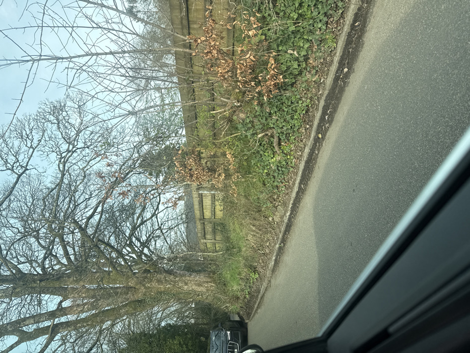The image depicts a rural or semi-rural road in Bolton, United Kingdom, viewed from the interior of a vehicle. The asphalt road surface, lacking visible markings, occupies the lower and central portions of the frame. To the left, a dark-colored SUV, possibly an Audi, is partially visible, appearing to be parked or stopped on the side of the road, facing away from the camera. The foreground shows the dark frame and reflective surface of a vehicle's side window.
The right side of the road features a dense embankment of vegetation. This includes an extensive ground cover of dark green ivy, numerous bare deciduous saplings, and several small trees with dried brown leaves, indicative of late autumn or winter. Behind this vegetation, a light brown wooden panel fence runs horizontally across the midground. Further back and partially obscured by trees, the roofline of a building is visible.
On the left side of the road, a large, mature deciduous tree with a thick trunk and intricate bare branches dominates the upper left quadrant. The sky, visible above the trees, is clear and light blue. No individuals are visible within the scene.