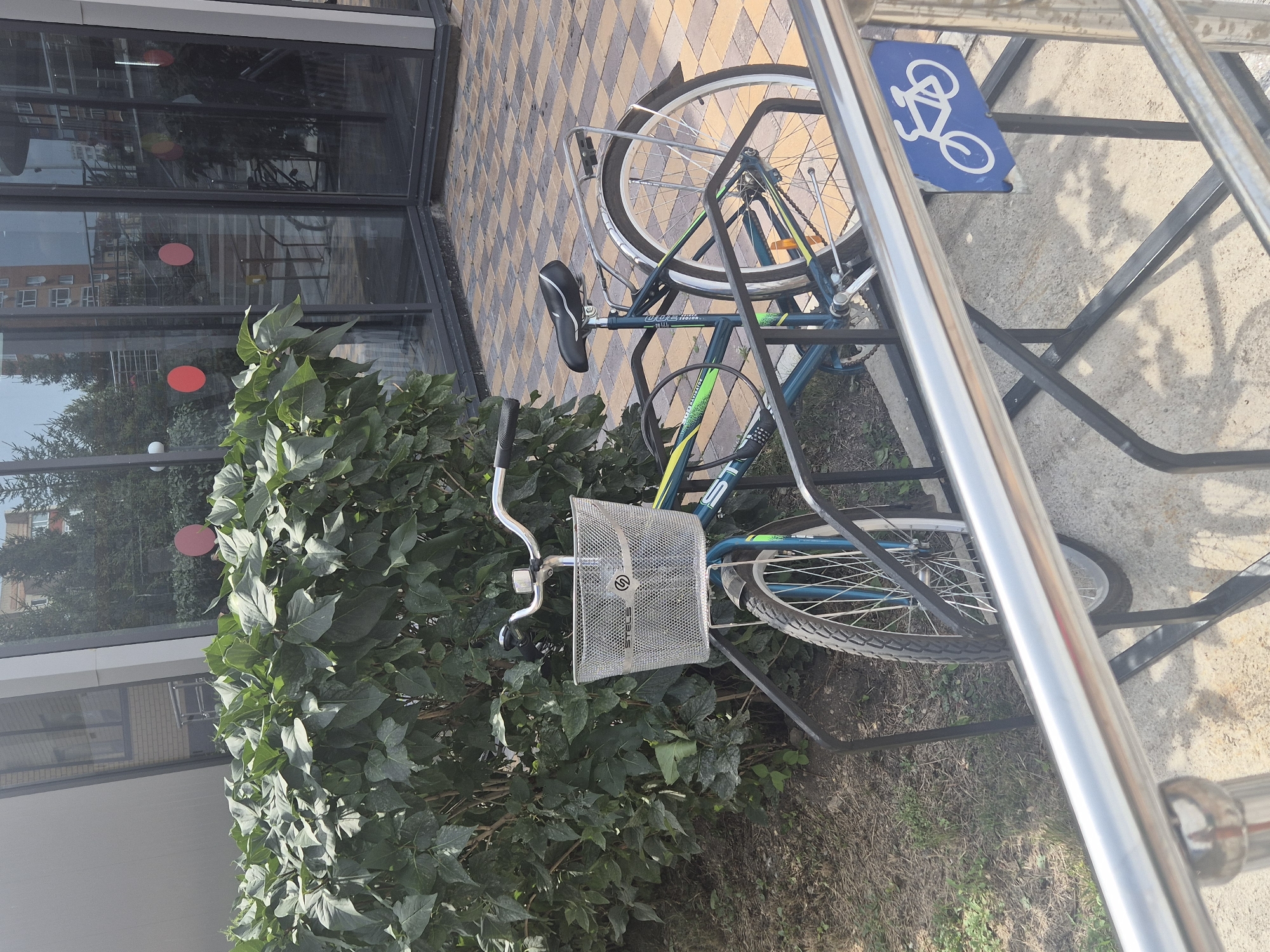 A teal-colored bicycle with a silver front basket is parked in a bike rack next to a large green bush. The bicycle has a black seat and a silver rear rack. A blue sign with a white bicycle symbol is attached to the bike rack. The bike rack is located on a paved area with a checkered pattern of yellow and brown tiles. In the background, there is a building with large glass windows. The scene is outdoors on a sunny day.