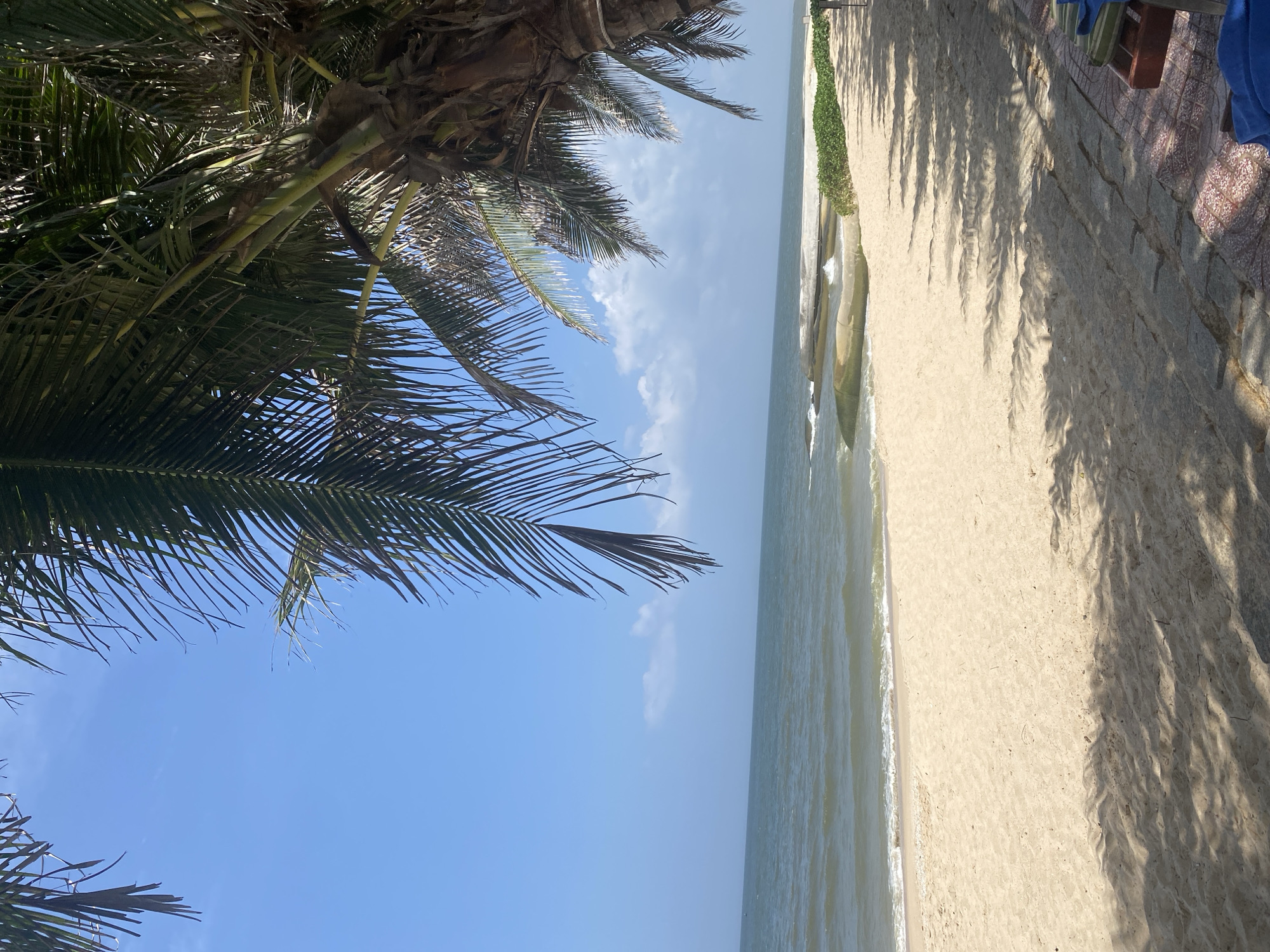 The image depicts a serene beach scene in Mũi Né, Vietnam, characterized by a bright blue sky with scattered clouds. The foreground is dominated by a sandy beach, partially shaded by the fronds of a palm tree that extends from the right side of the frame. The ocean stretches out to the horizon, with gentle waves lapping at the shore. In the middle ground, there are some rock formations partially submerged in the water and a strip of lush green vegetation bordering the sand. The edge of the beach is lined with a paved walkway and some lounge chairs are visible on the lower right, suggesting a resort or public beach area. The overall impression is one of a tranquil tropical paradise.