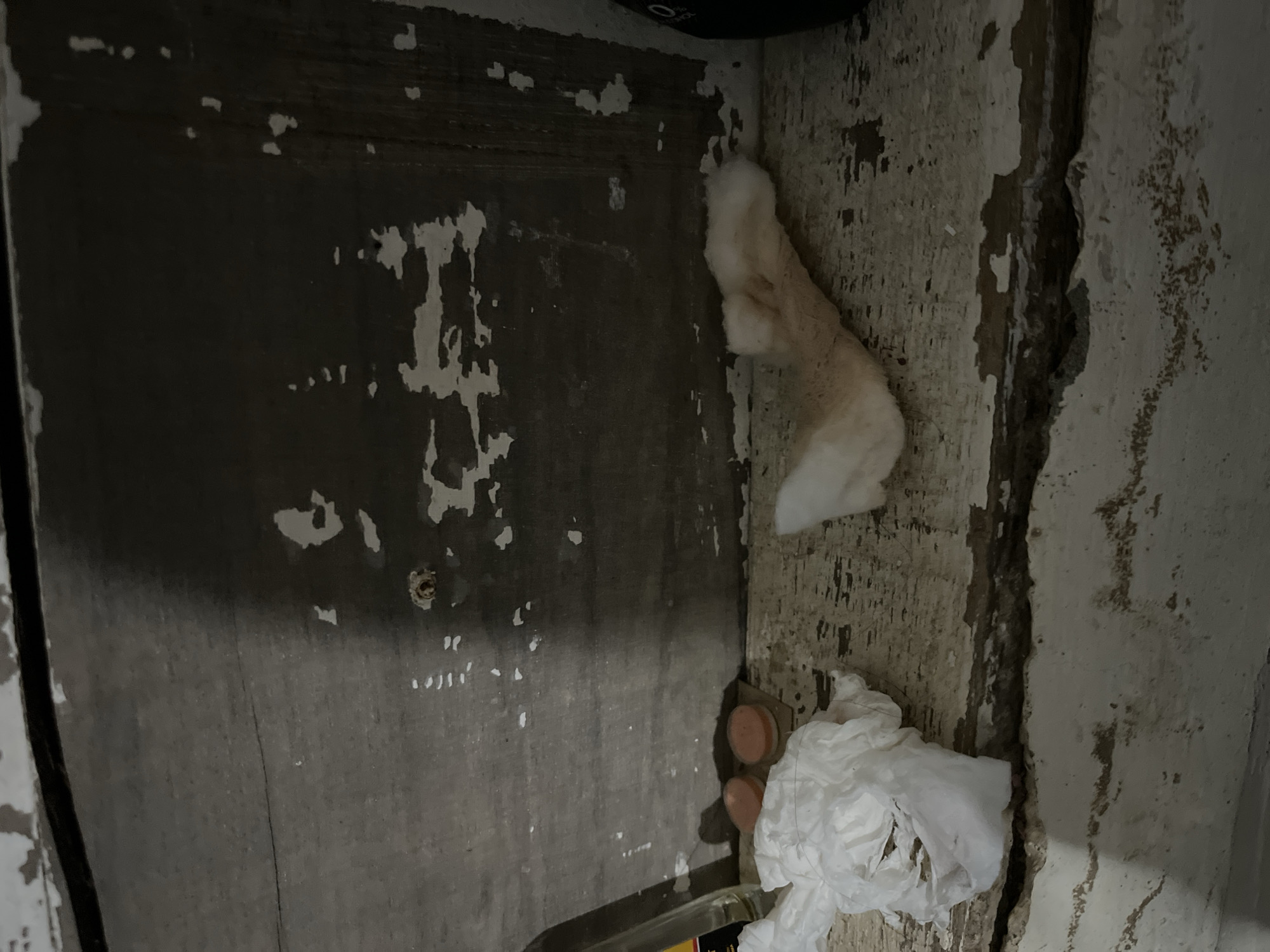 The image shows a close-up view of a dilapidated wooden surface, likely a door or wall, with peeling paint. The surface is dark gray with patches of white paint flaking off, revealing the underlying wood grain and texture. The wood itself appears worn and weathered.
In the upper right corner, a cluster of white, fluffy material is visible, possibly insulation or a cotton-like substance. Below this, near the corner, are two small, round, light brown objects, possibly caps or plugs. To the right of these objects, a crumpled piece of white plastic or paper is present, appearing dirty and discarded.
The scene suggests an indoor setting that is neglected or abandoned, given the state of disrepair of the wooden surfaces and the presence of debris. The lighting is dim, and there are no clear indicators of the time of day or weather conditions. No people are visible in the image, and no text is discernible. The overall impression is one of decay and disuse. The location context is Benuaraja, Indonesia, but this information does not directly translate into visual cues within the image itself.