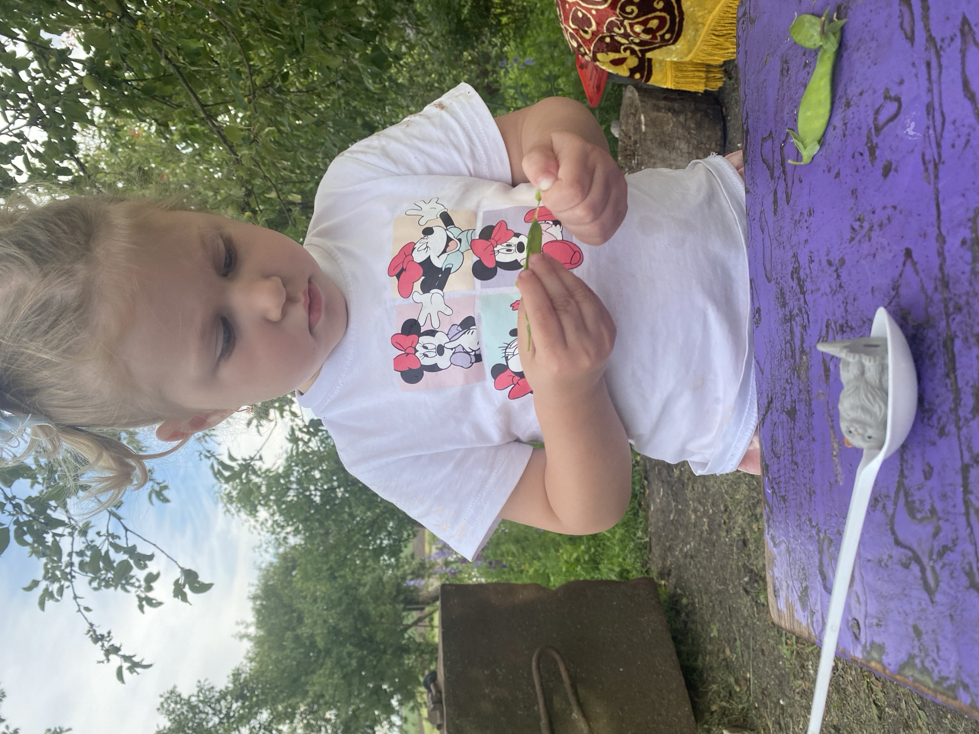 A young child with blonde pigtails, wearing a white t-shirt featuring a collage of Mickey Mouse characters, is engaged in an outdoor activity. The child is holding a green pea pod, examining it with a focused expression. A single pea pod is also visible resting on a purple wooden surface, next to a white plastic ladle containing a small, gray toy animal with blue eyes and an orange beak.
The setting appears to be outdoors, with lush green trees and foliage in the background, and a blue sky visible above. The ground is a mix of dirt and grass. A decorative fabric with gold and red patterns is partially visible in the upper right corner, suggesting a festive or decorative element in the environment. The lighting suggests it is daytime, possibly late afternoon or early evening given the soft light. The child's engagement with the pea pod and toy indicates a moment of play or exploration. The overall mood seems peaceful and focused on the child's interaction with nature and toys. There is no visible text in the image.