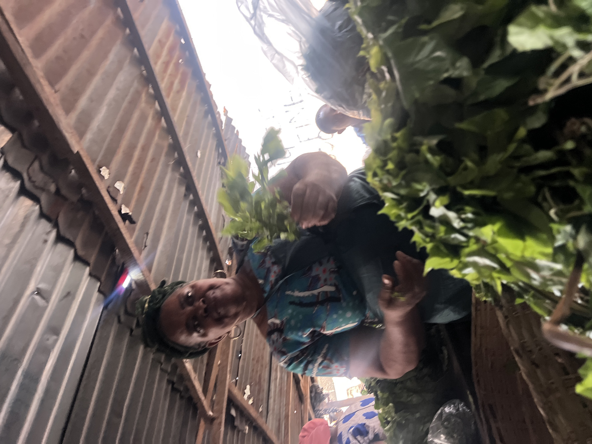 An upward-angled, candid shot captures a vibrant market scene in Nkpor, Nigeria, focusing on a woman amidst fresh produce and makeshift stalls. The primary subject is a dark-skinned woman positioned in the lower-middle and left of the frame, looking directly towards the viewer with a neutral expression. She wears a colorful patterned top featuring teal, white, black, and reddish-brown designs, and her head is covered with a dark fabric. Her hands are visible, holding bunches of fresh green leafy vegetables or herbs, which are abundant around her.
On the right side of the image, and also partially obscured by the woman, are large piles of the same fresh green foliage, suggesting she is a vendor of these items. Further back and to the right, another person's head is visible, largely silhouetted against a bright, overhead light source. The background to the left features worn, corrugated metal sheets, likely part of the roof or walls of a market stall, supported by wooden beams. The metal shows signs of rust and age. Intense natural light streams from above, creating bright highlights and deep shadows, indicative of strong daylight, possibly reflecting off an open-air or poorly covered section of the market. Another person's leg and part of a blue and white patterned garment are faintly visible in the lower right. No legible text is visible in the image. The overall setting portrays a bustling, informal outdoor market environment common in the region.