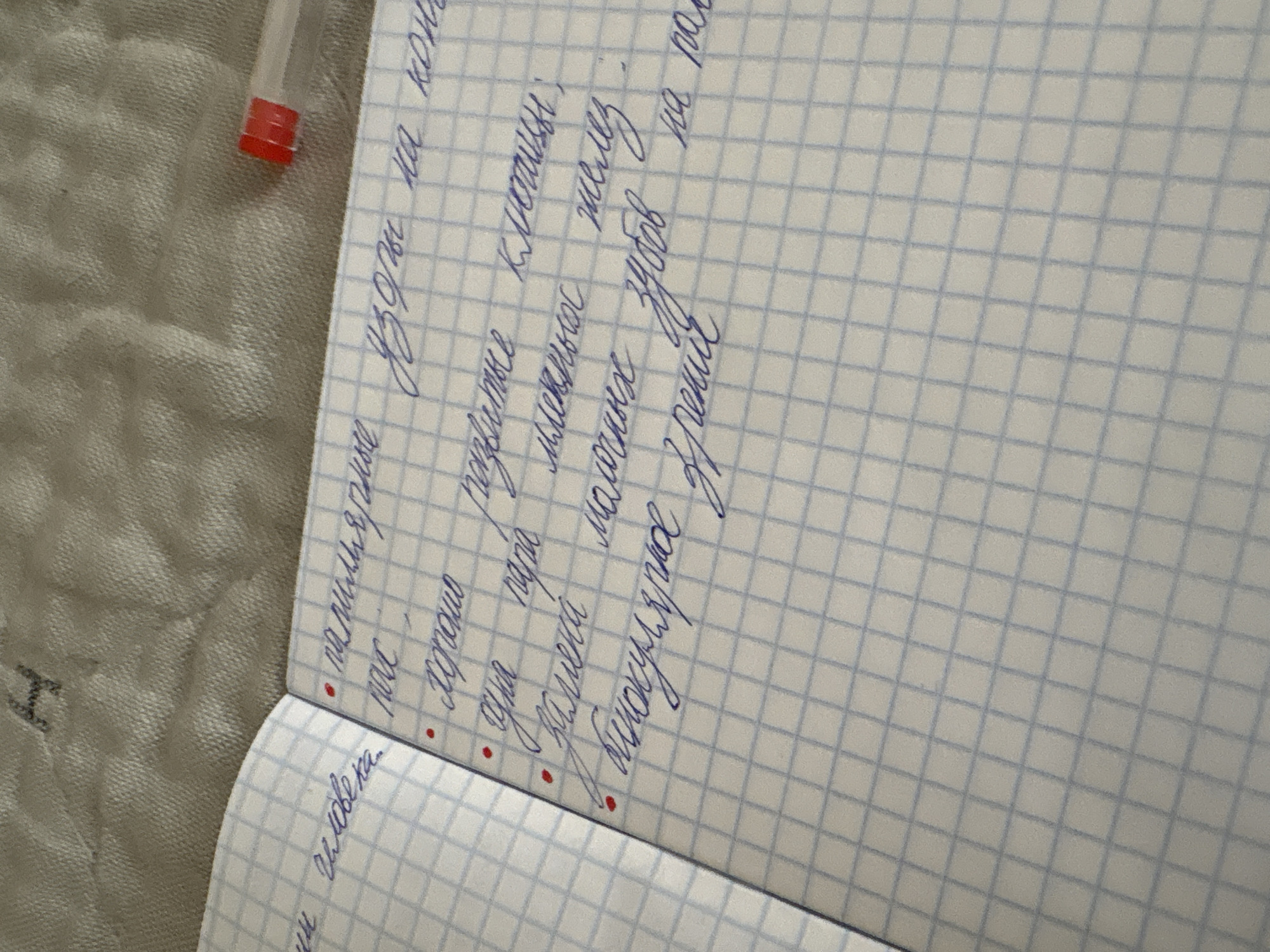 The image shows a close-up, top-down view of an open, checkered notebook. The notebook is lying on a textured, light-colored surface, possibly a blanket or fabric. On the left page of the notebook, handwritten text is visible in blue ink. The text on the left page is partially obscured but appears to say "человека" (of a person).
The right page of the notebook contains a bulleted list of phrases, also in blue ink. The first item is "папиллиярные узоры на коже" (papillary patterns on the skin). The second item is "здоровье" (health). The third item is "злак" (grain) or "длак" followed by "пора" (spot/wound). The fourth item is "замена молочных желез" (replacement of mammary glands). The fifth item is "бинокулярное зрение" (binocular vision) or "бинокулярное зрение" followed by "на рас" (on the...).
A red-tipped pen or marker is visible in the upper right corner of the image, resting on the textured surface. The lighting is soft, and the focus is on the notebook and its contents. There are no visible people or indications of the specific location within Georgiyevsk, Russia. The scene is static and appears to be a personal note-taking or study session.
