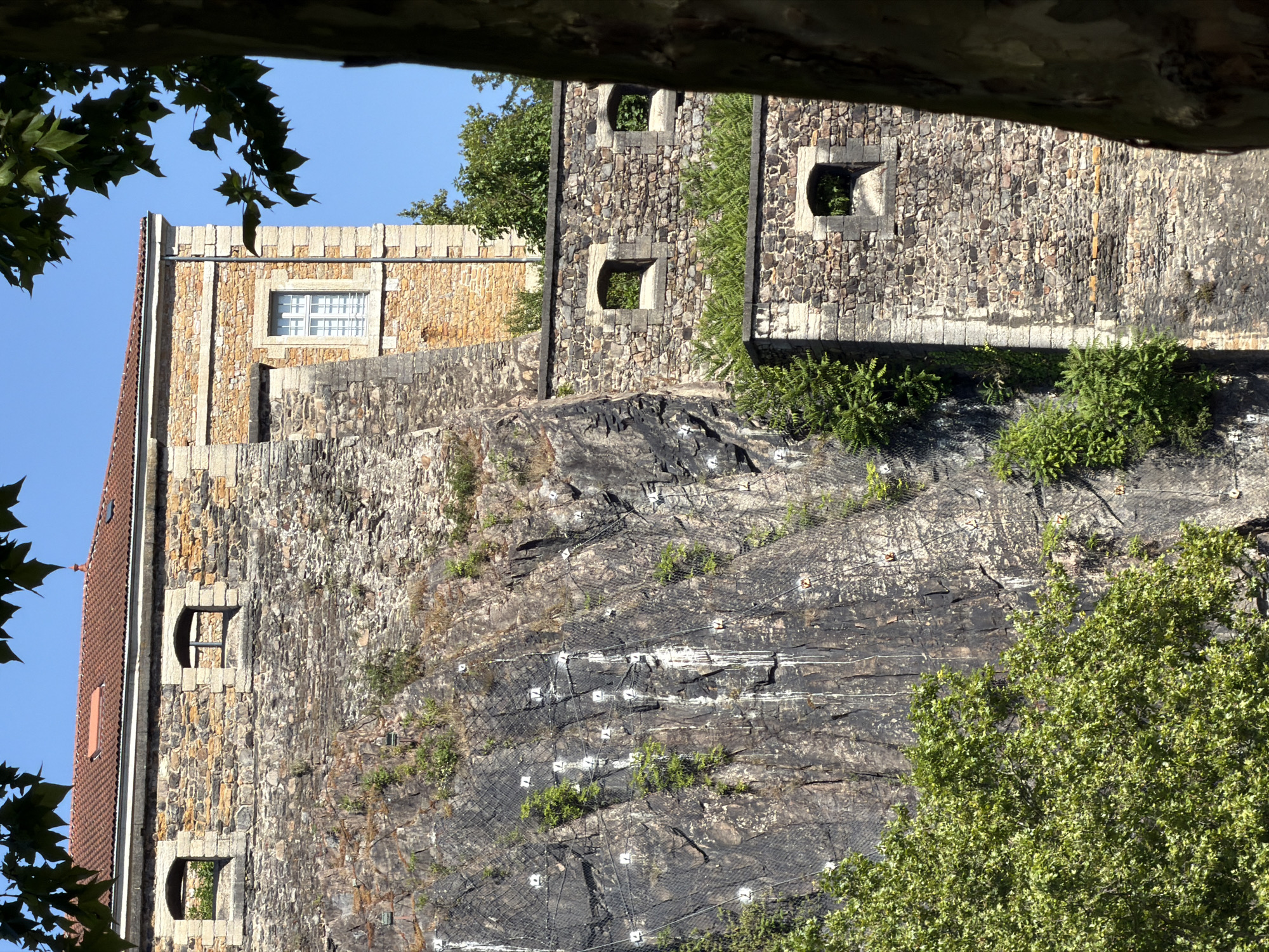 The image depicts the ramparts of Fort Saint-Jean in Lyon, France. The fort is constructed from stone and overlooks a steep, rocky cliff face. The cliff is partially covered with vegetation and has a protective mesh system installed. The fort features several windows, some of which are dark and appear to be openings or empty spaces, while others show glimpses of greenery. The architecture of the fort suggests historical significance, with weathered stone walls and a tiled roof visible on the upper level. The scene is bathed in bright sunlight, casting shadows and highlighting the textures of the stone and rock. A large tree trunk is visible on the right side of the frame, partially obscuring the fort. The sky is clear and blue.