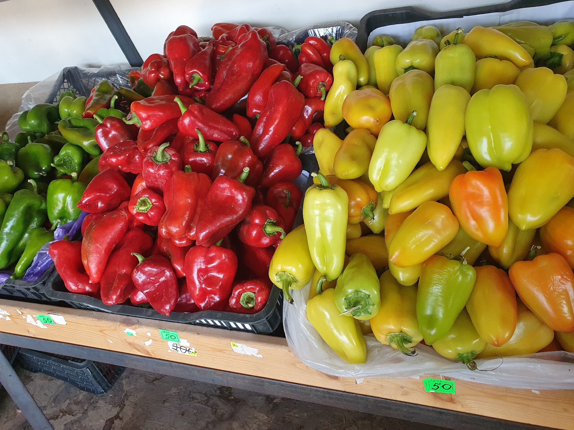 The image displays a market stall in Maevka, Kyrgyzstan, filled with a large selection of fresh bell peppers. Two black plastic crates are visible, one containing vibrant green bell peppers and the other holding a mix of red bell peppers. Adjacent to these, a white plastic bag is filled with yellow and light green bell peppers, with some orange ones interspersed. The peppers are arranged on a wooden shelf. A price tag reading "50" in green is attached to the shelf in front of the yellow and green peppers. Another price tag, also green, displays "100" and a partial "50" and is also attached to the wooden shelf. The background is mostly white, suggesting an indoor or covered market setting.