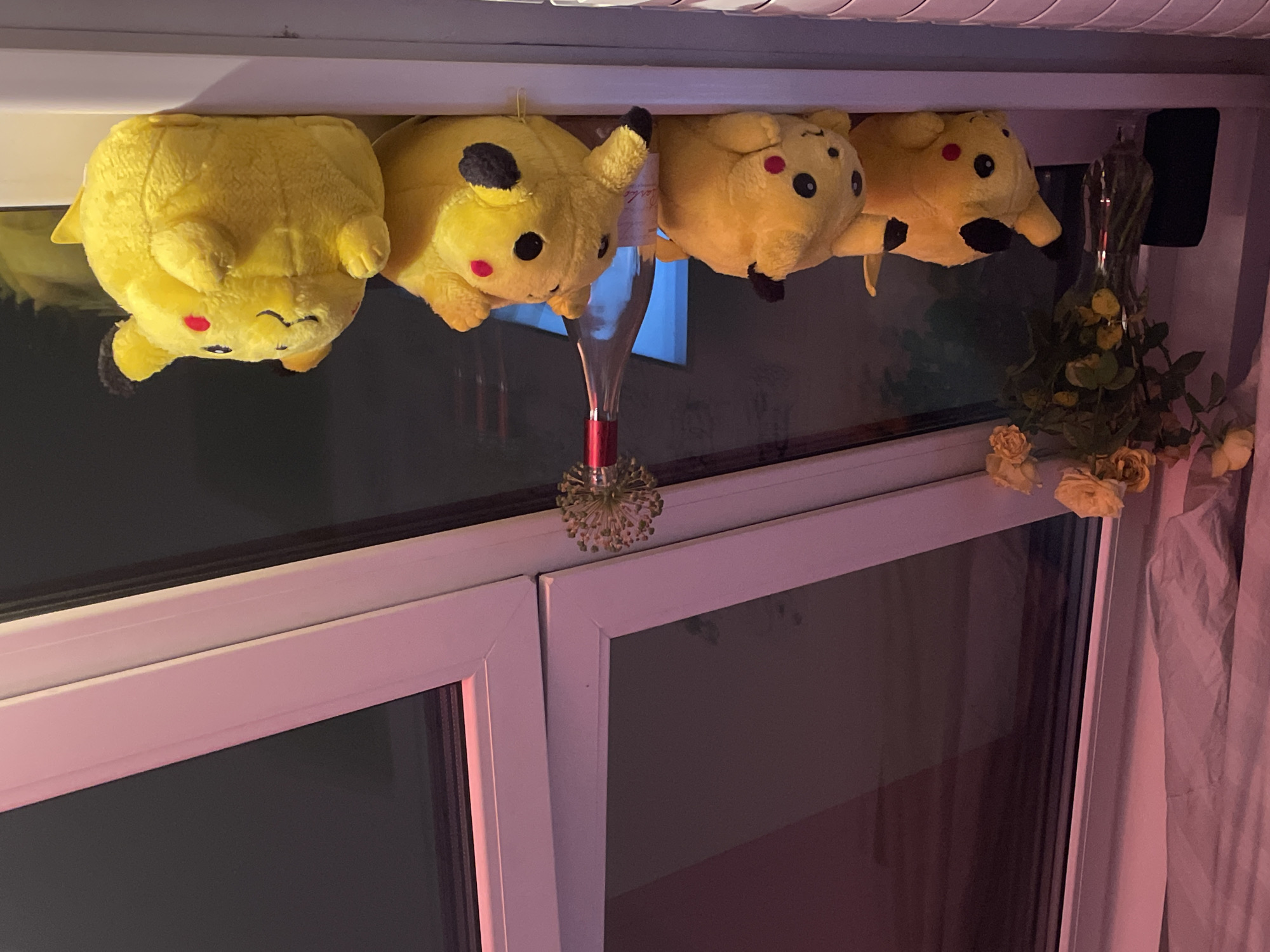 The image captures an indoor scene, likely at night, in Zvezdara Urban Municipality, Serbia. Four yellow plush toys, identifiable as Pikachu from the Pokémon franchise, are prominently displayed. They are hanging upside down from an unseen fixture above a white window frame, with their faces, including red cheek circles and black eyes, clearly visible.
A decorative element resembling a champagne flute or stemmed glass with an intricate, spiky, metallic base is positioned between the second and third Pikachu plush toys from the left. To the right, a clear glass vase contains a bouquet of withered or dried yellow roses and green leaves, adding a touch of rustic or melancholic charm. A light-colored curtain is partially visible on the far right of the frame.
The window panes reflect the dark exterior, indicating nighttime, and show subtle reflections of the room's interior. Artificial lighting, possibly from an LED strip, casts a soft, warm, pinkish-purple glow across the white window frame and the surrounding objects, creating a cozy and intimate atmosphere. No discernible text is visible within the image. The scene suggests a personal and decorative arrangement within a living space.