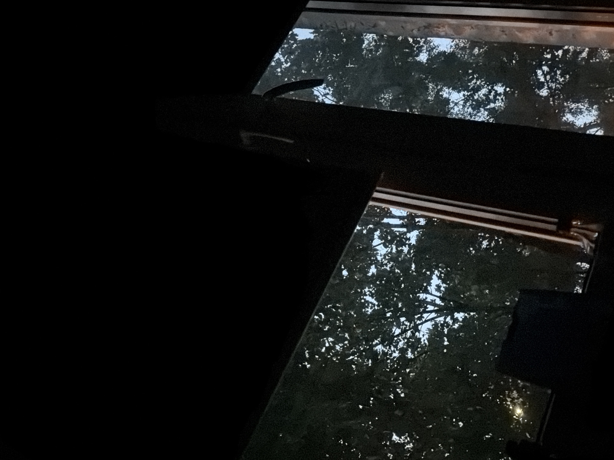 The image shows a view through a window at dusk or night. The foreground is dark, with shadows obscuring most details. A dark, vertical object with some lighter markings is visible in the center right of the frame, possibly a window frame or a part of the building's interior. Through the window, trees with dense foliage are visible against a darkening sky. The light filtering through the leaves suggests it is either very early morning or late evening. The overall impression is one of looking out from an interior space into a natural environment. There are no discernible human figures or actions depicted. The scene does not provide any specific details to identify the location as Khimki, Russia.