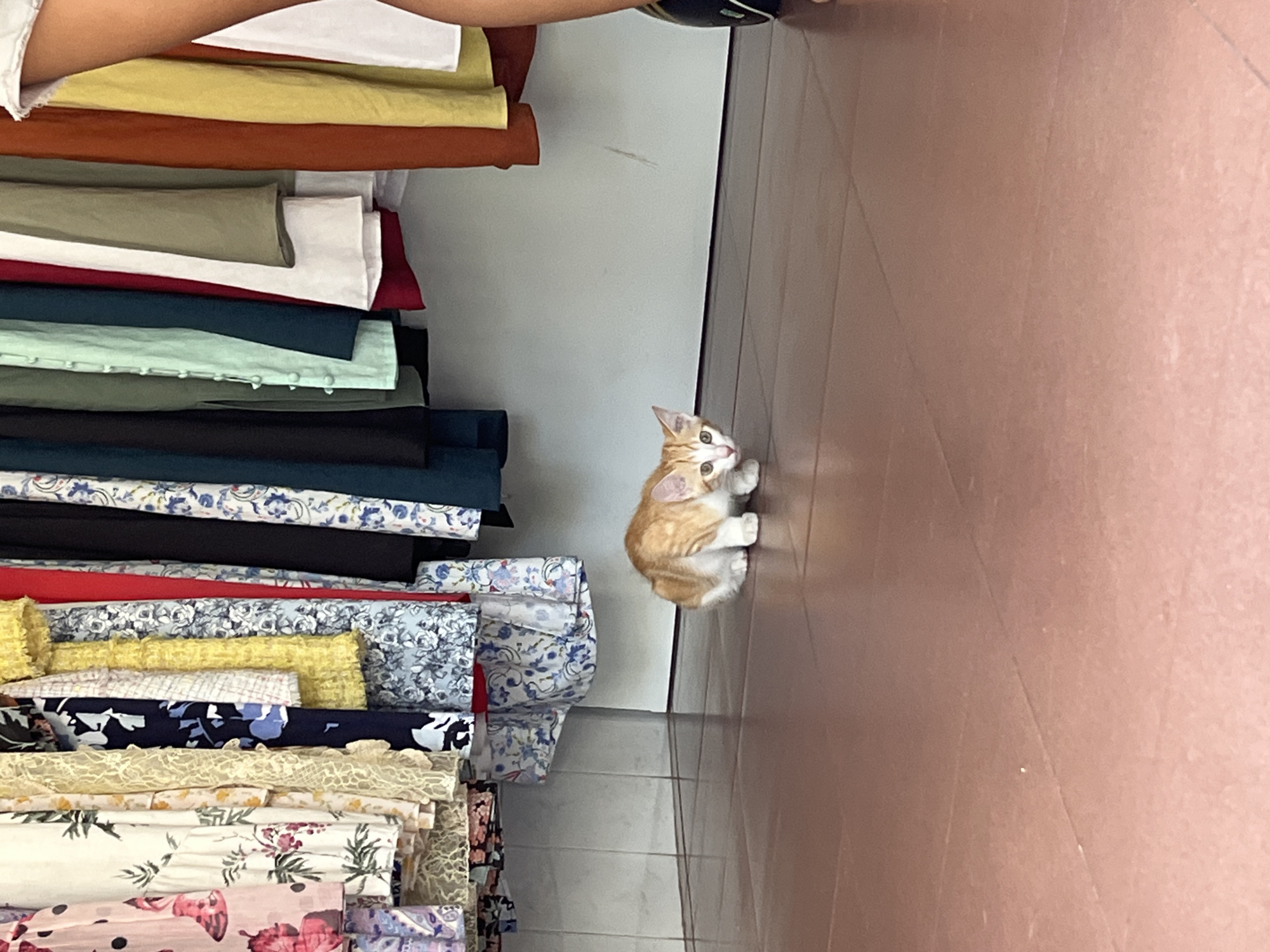 The image shows a small, orange tabby kitten sitting on a tiled floor next to a tall stack of fabric bolts. The fabrics are of various colors and patterns, with floral prints and solid colors visible. The stack reaches up along the left side of the frame. Above the fabric is a person’s arm and hand. The background includes a light-colored wall and the tiled floor which extends to the right. Based on geolocation analysis, the picture was taken in Bac Nha Trang Ward, Vietnam.