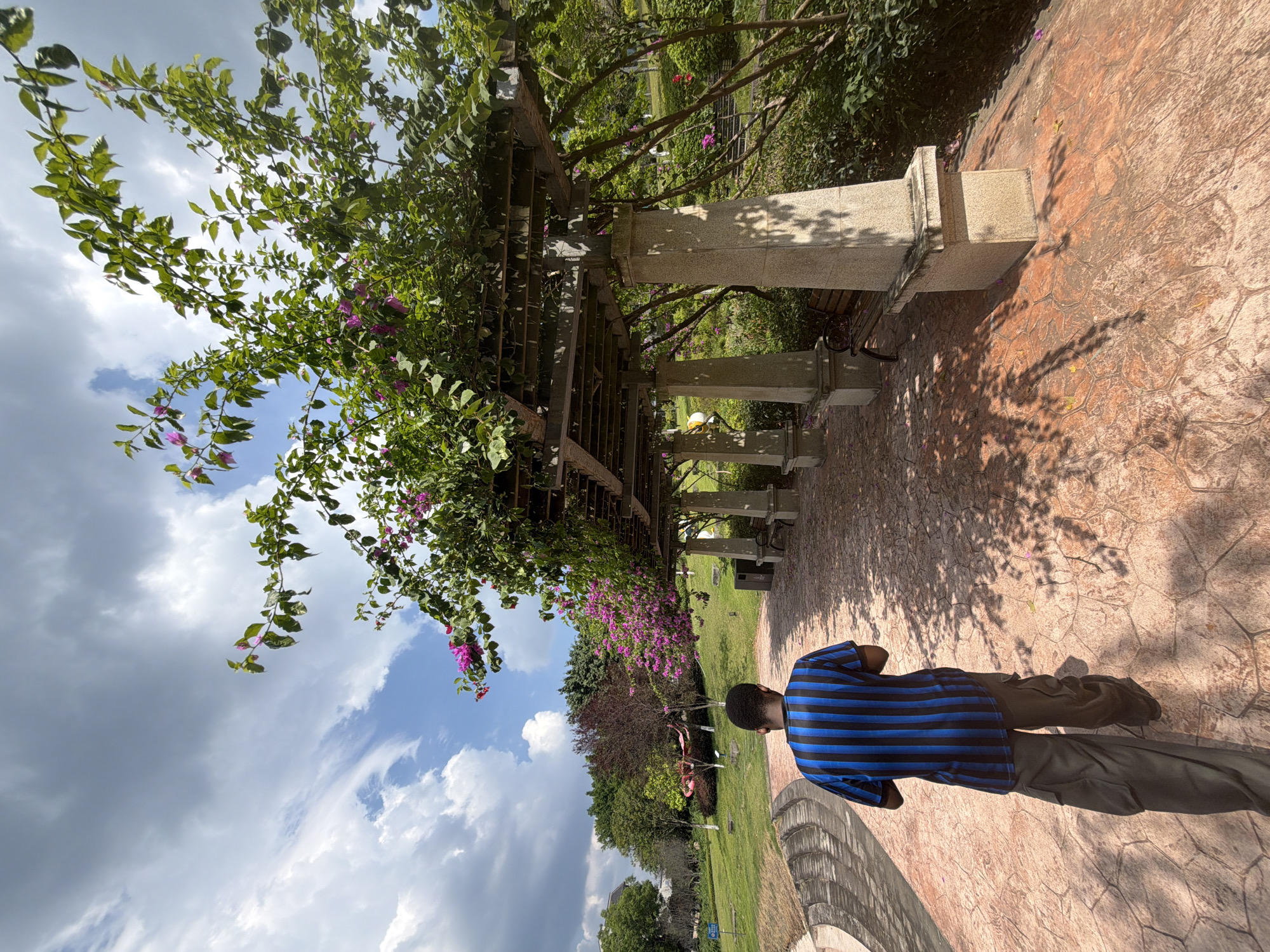 A Black male is walking away from the camera on a cobblestone path under a vine-covered pergola. The man is wearing a blue and black striped t-shirt and gray cargo pants. The pergola has concrete pillars and a wooden roof. Purple flowers are blooming on the vines. To the left of the path, there is a grassy slope with stone seating. In the background, there are trees and a cloudy blue sky. This image was taken in the city of Jiangjin, China.