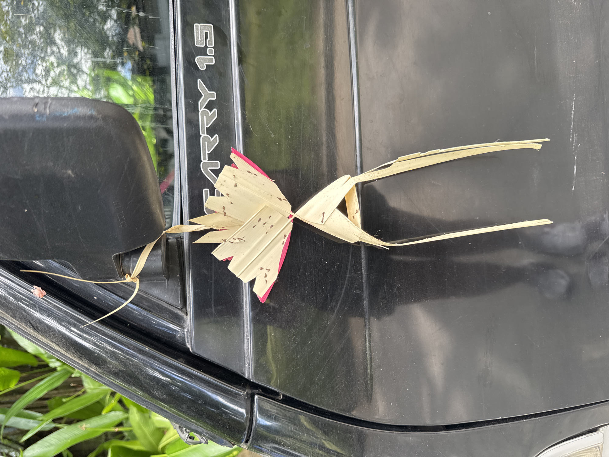 The image shows a small, palm-leaf ornament in the shape of a butterfly or bird, resting on the black exterior of a vehicle, likely a car or truck. The vehicle has the words "CARRY 1.5" printed in silver lettering. The ornament features fringed edges and some red-painted tips on its "wings." The vehicle appears to be parked outside, as greenery is visible in the background and reflected in the vehicle's surface. The location is Kuta Selatan, Indonesia.