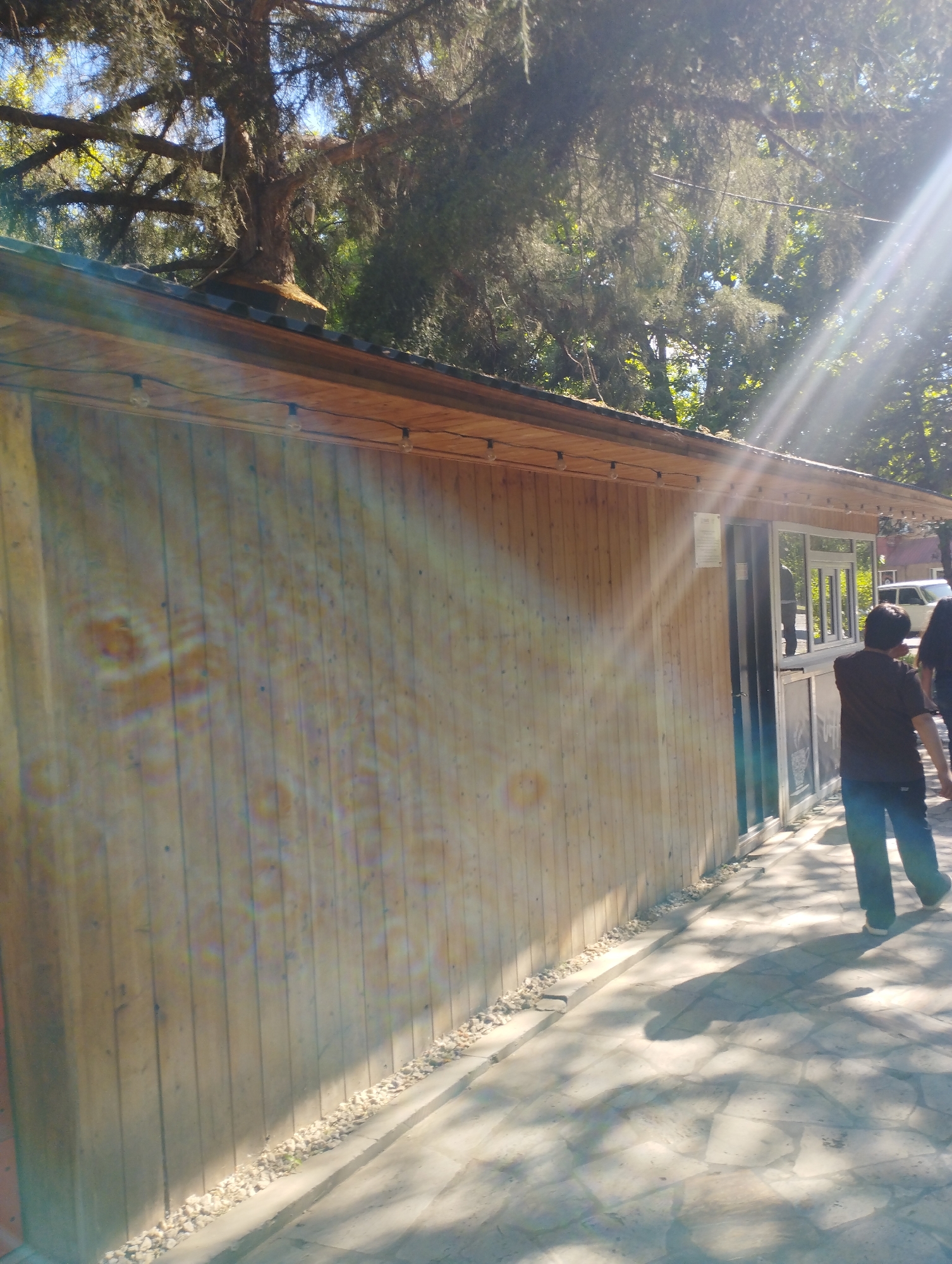 The image shows a one-story wooden building in Yeghegnadzor, Armenia. The building has a long, flat front facade made of vertical wooden planks. A tree grows out of the roof. A walkway runs alongside the building, paved with stone or concrete slabs. Two people are visible walking on the walkway, near the entrance, dressed in casual clothing. Bright sunlight streams through the trees, casting shadows on the building, walkway, and people. Small stones run along the base of the building, where it meets the walkway.