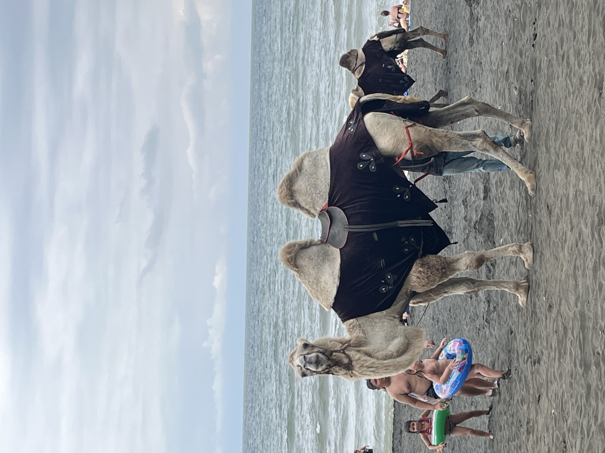 In Ureki, Georgia, two camels are standing on a dark sandy beach near the Black Sea. The foreground camel, adorned with a dark brown blanket, faces the camera with its head held high. Its saddle is visible, as is a chain attached to its bridle. Behind it, a man in blue jeans stands by its legs. To the left, two young girls are near the water, one holding a green inflatable ring and the other a blue and white inflatable ring. A man in a black swimsuit stands behind them. In the background, another camel is visible, also wearing a blanket, and further back, several people are sunbathing on the beach and swimming in the sea under a cloudy sky.