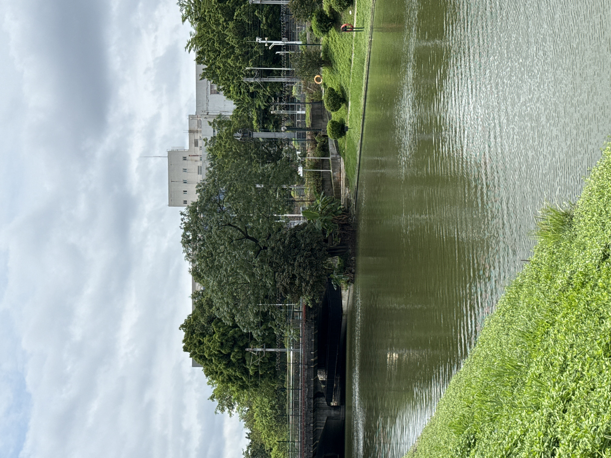 The image depicts a canal in Huangpu District, China, under an overcast sky. The canal's water is a murky green and exhibits rippling textures. The left bank of the canal is densely covered with vibrant green grass and some low-lying plants. The right bank is a manicured lawn with several rounded bushes. Further back from the right bank, a circular orange life preserver is visible, and a red life preserver with a white stripe is mounted on a post. A bridge with a dark gray surface and concrete supports spans the canal. Behind the bridge and trees, a multi-story white building with numerous windows is visible, topped by a tall antenna. The area is lined with mature trees, some of which are lush and green, while others appear denser and darker. Electrical poles and wires are present in the background. The overall scene conveys a tranquil, urban park-like environment.
