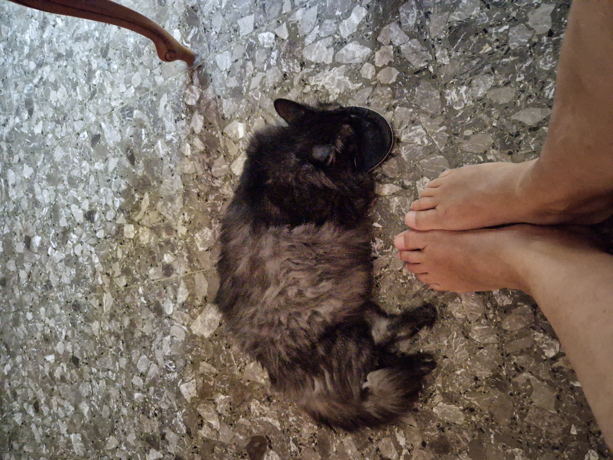 A black, long-haired cat is sleeping on a terrazzo floor. The cat is curled up, with its head resting on a black object, possibly a shoe or a bowl. In the foreground, a pair of bare human feet are visible, positioned close to the cat. The floor is patterned with irregular pieces of marble and granite. To the right of the cat, the leg and foot of a chair are visible. The scene appears to be indoors. The image is taken from a top-down perspective.