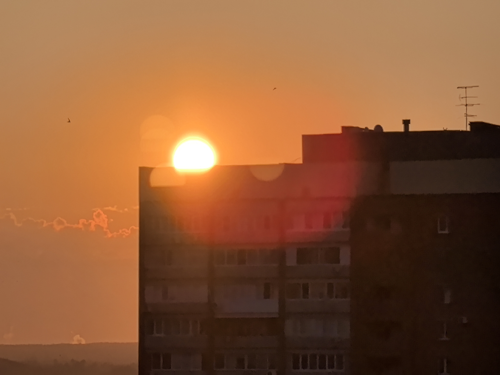 This image captures a sunset over the city of Tolyatti, Russia, featuring a silhouetted apartment building. The sun, a bright orb of orange and yellow, is partially obscured by the building, casting a warm glow across the sky. A few wispy clouds, tinged with orange from the sunset, are visible in the distance. The apartment building, a multi-story structure with numerous windows, stands in the foreground, its dark silhouette contrasting with the vibrant sky. A bird is seen flying in the distance, adding a touch of life to the scene. The overall impression is one of a peaceful evening in an urban setting.