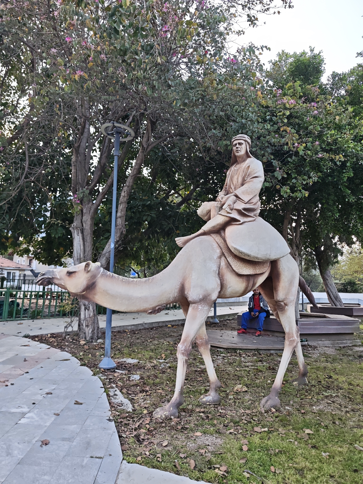 The image shows a life-sized, beige, statue of a man riding a camel in a park setting. The man is depicted wearing a head covering and draped robes, seated atop a saddle. The camel is standing on green grass interspersed with brown leaves, and a person wearing a red shirt and blue pants is sitting on a wooden bench behind the statue. A grey lamppost stands near the camel’s head. In the background, trees with green leaves, and pink and white flowers are visible. A paved walkway is on the left. The image was taken in Kemer, Turkey.