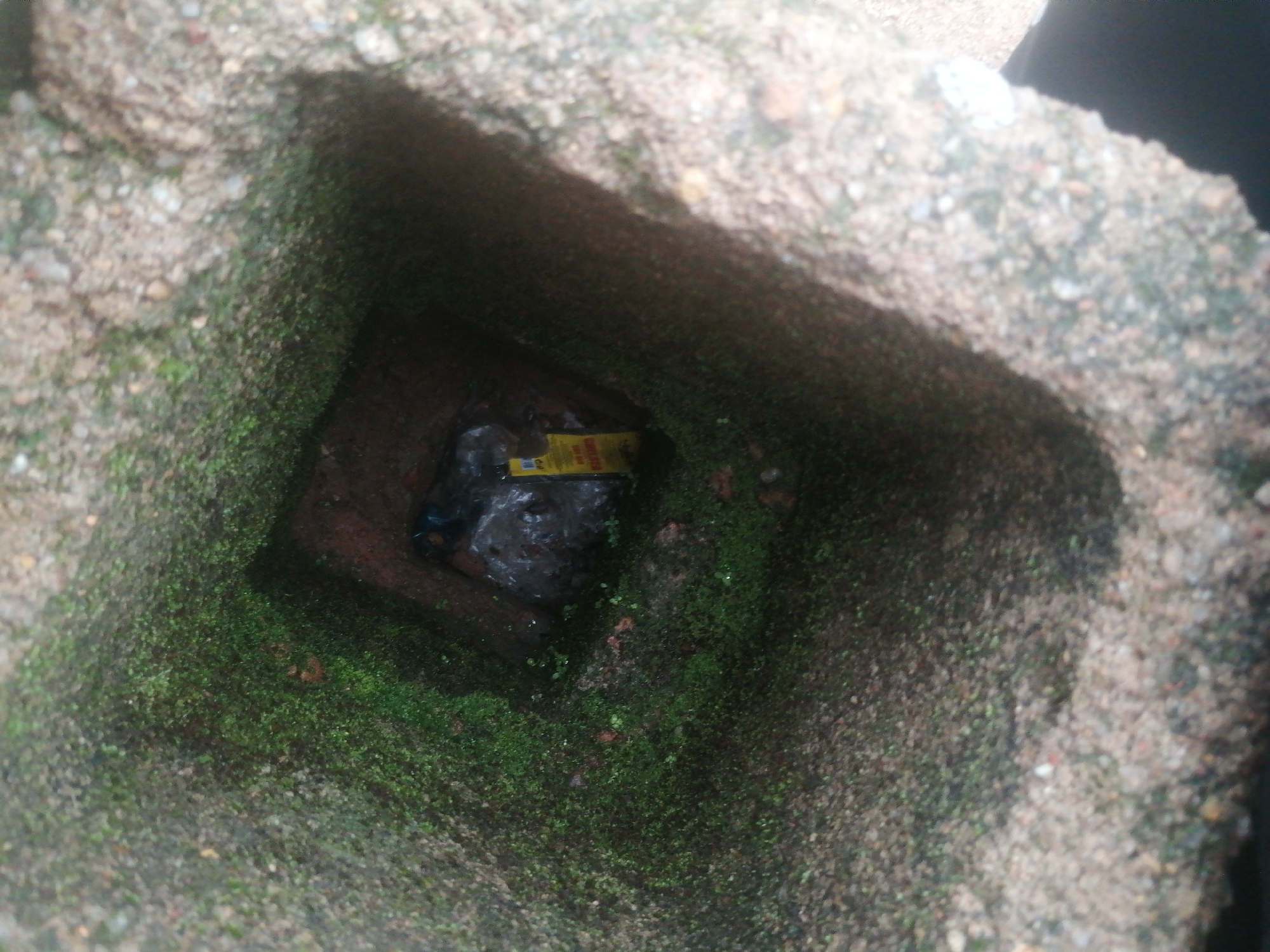 A high-angle shot captures a square-shaped cavity within a rough, stone-like structure. The edges of the cavity are lined with vibrant green moss, contrasting with the rough, sandy texture of the surrounding material. Inside the cavity, at the bottom, is a black plastic bag containing a yellow object. The yellow object is rectangular and appears to have some text or markings on it, though they are not clearly legible. The lighting suggests an outdoor environment, possibly a weathered urban setting.