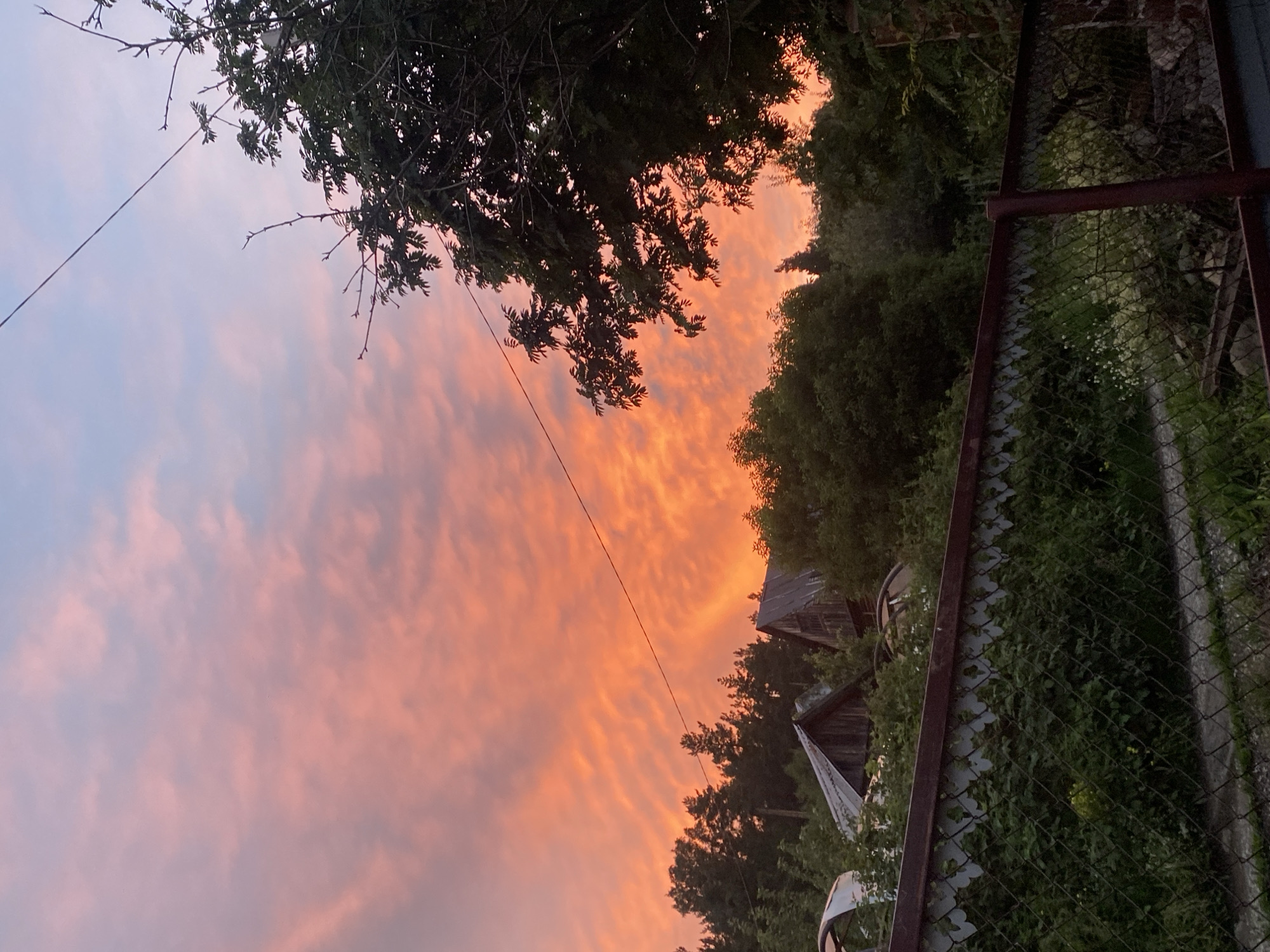 The image depicts a rustic scene at dusk in Uchaly, Russia, characterized by a vibrant sunset painting the sky with hues of orange and pink. The foreground is dominated by a weathered, wire-mesh fence with a decorative, scalloped metal trim. Beyond the fence, dense green foliage and overgrown bushes obscure much of the ground.
In the mid-ground, the roofs of two traditional wooden houses are visible, their weathered grey surfaces contrasting with the lush greenery. One house appears more dilapidated than the other. Scattered amongst the foliage are what appear to be abandoned vehicle parts, including curved, metallic structures, suggesting a state of disrepair or disuse. A single strand of electrical wire stretches diagonally across the upper portion of the frame, adding a touch of modern infrastructure to the otherwise rustic setting.
The background is filled with a dense line of dark green trees, silhouetted against the dramatic twilight sky. The sky itself is the most striking element, with swirling clouds illuminated by the setting sun, creating a fiery spectacle. The overall impression is one of a remote, perhaps rural, residential area in Uchaly during a beautiful, colorful sunset. There are no people or animals visible in the image.