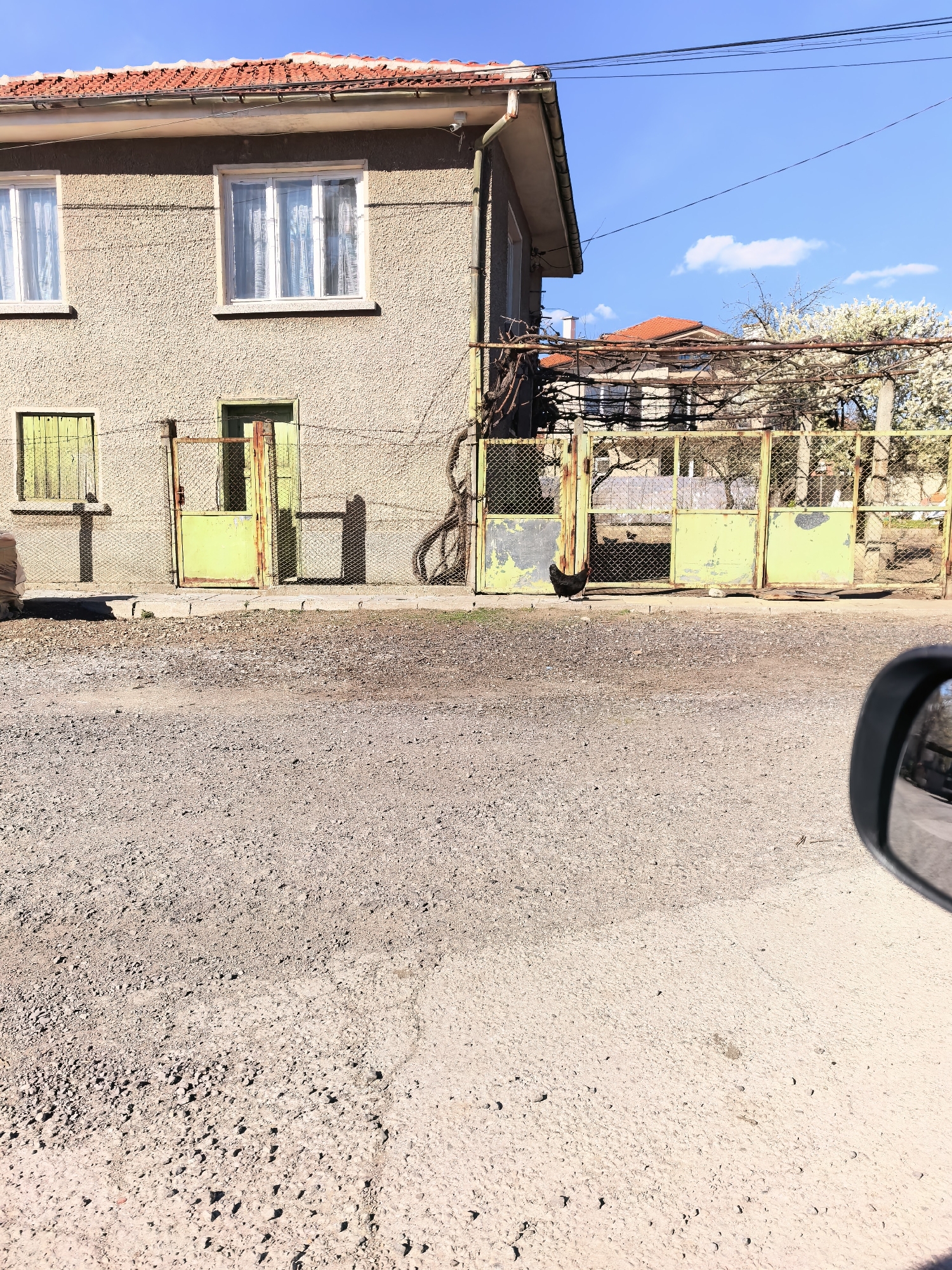 A two-story, tan-colored house with a red tile roof is situated in an unspecified location in the city of Unknown, Unknown. The house has two windows on the upper floor with white frames and sheer curtains, and a barred window and a green door on the ground floor. A rusted green metal gate, entangled with vines, encloses the property. A black chicken stands near the gate. The road in front of the house is gravelly and dirt-covered. Part of a car's side mirror is visible in the lower right corner. A nearby building with a similar red tile roof is partially visible through the gate, along with a flowering tree. The sky is blue with a few scattered clouds. Overhead power lines are visible.