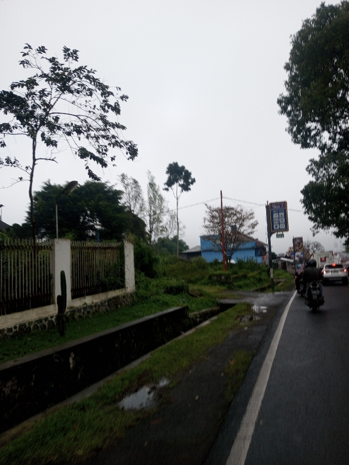 This image depicts a wet, overcast street scene in what is identified as Chagzam_Pam, Bhutan. The foreground features a dark, open concrete drainage ditch running parallel to the left edge of a wet asphalt road. Patches of green grass and small puddles are visible between the ditch and the road.
To the left of the ditch, a white fence with vertical metal bars and a stone base partially obscures dense, overgrown vegetation and a street lamp. A tall, dark, columnar cactus-like plant is visible against the white fence. Various trees with dark foliage stand against the light gray sky, dominating the upper left portion of the image.
On the right side of the road, two individuals on motorcycles, wearing dark clothing and helmets, are traveling away from the viewer. A white car is visible further down the road in the same direction. Elevated from the road in the mid-ground, a prominent, light blue building with a darker roof is visible amidst green foliage. To its right, a tall, dark vertical street sign with multiple illuminated panels displaying what appear to be advertisements or prices stands beside the road. Overhead, power lines are visible, stretching across the scene. The road surface is visibly wet with reflective puddles, indicating recent rain.