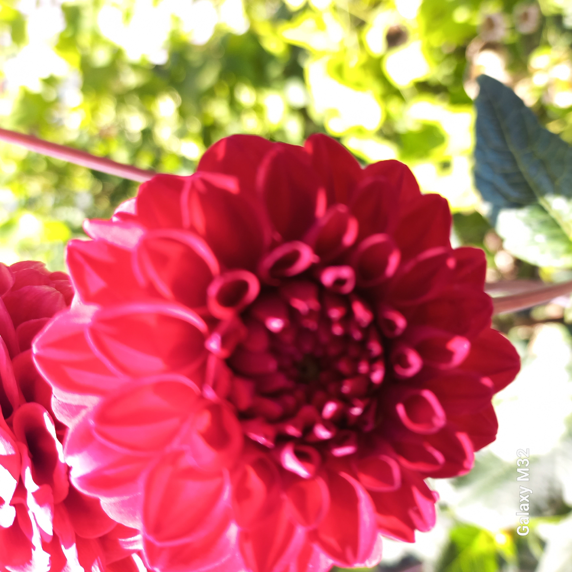 The image is a close-up, upward-facing shot of a bright red dahlia flower in full bloom. The petals are layered and exhibit a high level of detail, with some petals appearing to curve inwards towards the center of the flower. The lighting creates strong highlights and shadows on the petals, emphasizing their texture and form. The background is a bokeh of green foliage and bright, out-of-focus yellow and white shapes, suggesting a sunny outdoor environment. In the lower left corner of the image, the text "Galaxy M32" is visible in white lettering, indicating the device used to capture the photograph. The flower stem is partially visible as a thin, pinkish-red stalk extending upwards from the bottom of the frame. No people or animals are present in the image. The location within Corpaci, Moldova, is not discernible from the visual content of the photograph.
