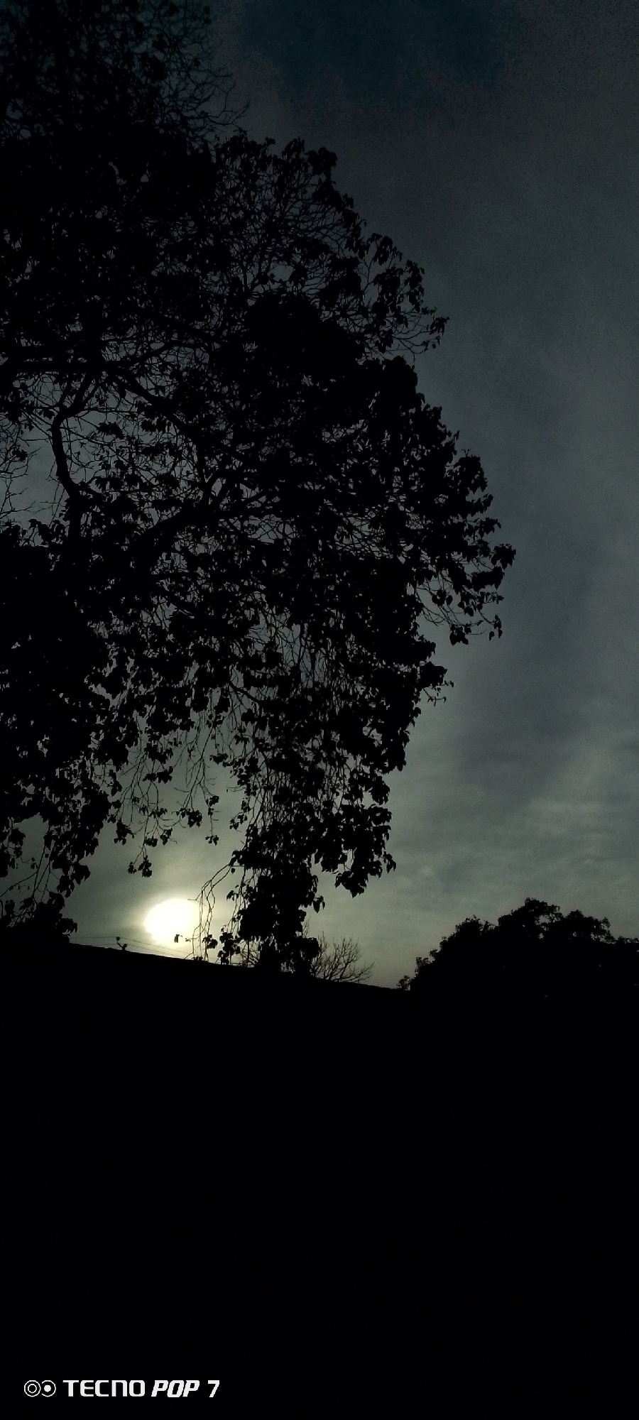 A low-angle, vertical shot shows the silhouette of trees against a dim, cloudy sky. The large tree, heavily obscured and positioned on the left side of the frame, features distinct branch and leaf patterns. A bright, round light source, obscured by the trees, is visible just above the horizon. Another clump of trees is positioned to the right of the light source. The foreground is entirely black. The bottom left of the frame displays the watermark "TECNO POP 7." The photograph might have been taken in the city of Altagracia, Venezuela.