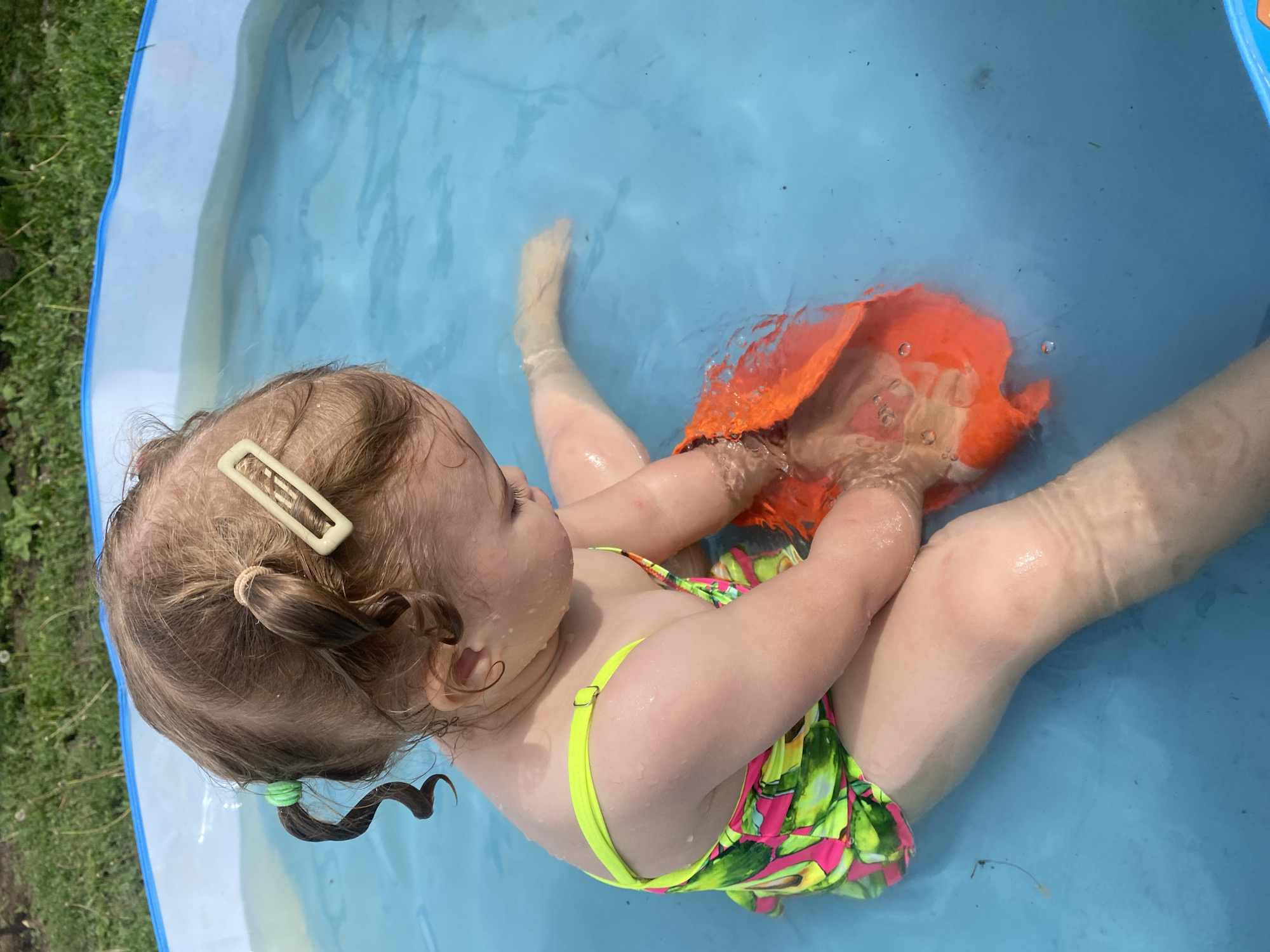 This is a high-angle, slightly tilted, medium shot of a young child, likely a toddler, sitting in a blue, inflatable kiddie pool filled with clear water. The child has light brown hair styled in pigtails, one secured with a green hair tie, and the other adorned with a light-colored barrette. They are wearing a vibrant swimsuit with a green halter top and a colorful pattern featuring pink, green, and yellow abstract shapes.
The child is reaching for and holding an orange object, possibly a toy, which is partially submerged in the water. Water splashes and ripples around the child and the object. The child's legs are spread out in the pool, with their feet and lower legs visible under the water. Their skin appears slightly flushed, indicating they might be enjoying the water on a warm day.
The surrounding area of the pool's edge is visible, showing the blue inflatable material contrasting with the green grass and some small white flowers. This suggests the pool is set up outdoors, likely in a backyard or garden. The lighting suggests it is daytime, with bright, natural light illuminating the scene. There is no visible text in the image. The overall mood appears to be one of playful enjoyment and summer fun.