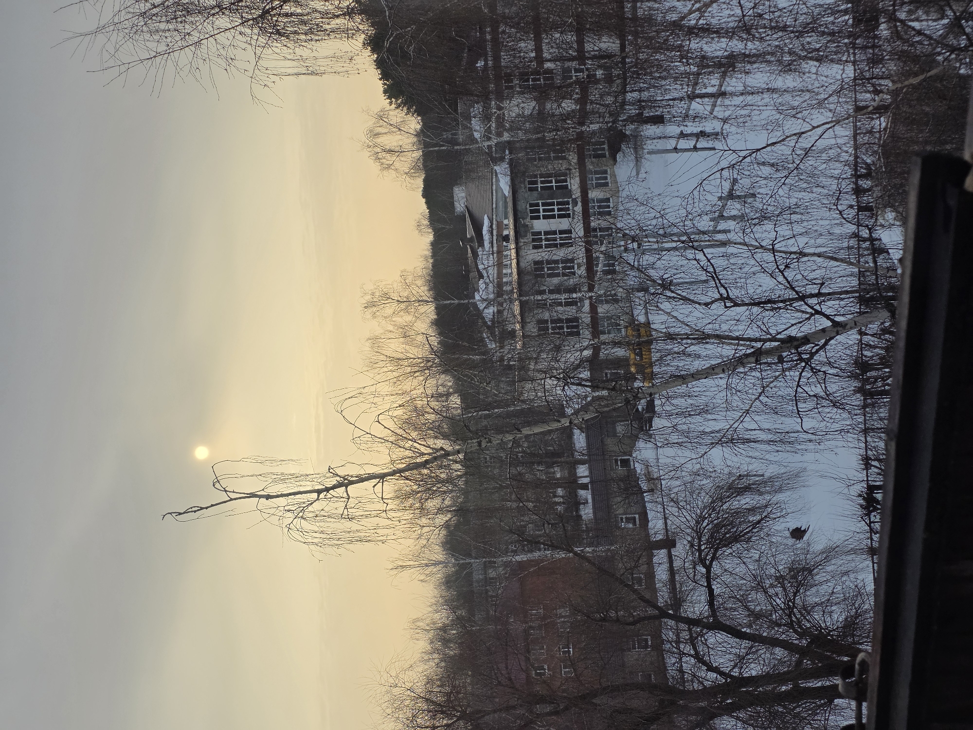An outdoor scene in Chaikovsky, Russia, captured during daylight hours in winter, depicts an urban landscape under a hazy sky. The perspective is elevated, looking down and across a snow-covered area surrounded by buildings and leafless trees.
The upper third of the image is dominated by a pale yellow-orange sky near the horizon, transitioning to a lighter grey overhead. The sun, a distinct bright circular disc, is positioned in the upper central portion of the sky.
Numerous leafless deciduous trees, primarily birches with their characteristic white bark, are prominent throughout the midground and foreground. Their bare branches extend into various parts of the frame.
In the midground, a significant snow-covered expanse is visible. On the left, a multi-story brick building with a reddish roof and multiple windows is partially obscured by trees. To the right, a larger, light-colored building with numerous rectangular windows and a complex roof structure, partially covered in snow, dominates the central midground. A dense dark forest or stand of trees forms the background behind this building. Other smaller, grey-colored buildings are interspersed among the trees in the lower midground.
The ground is uniformly covered in snow. A small, distant yellow object, possibly a vehicle or container, is visible on the snow below the large light-colored building. A dark bird is captured in flight against the snowy background in the lower-left midground. The extreme bottom of the image shows a dark, horizontal structural element, likely a balcony railing or window ledge, partially obscuring the immediate foreground. No human figures or direct interactions are visible.