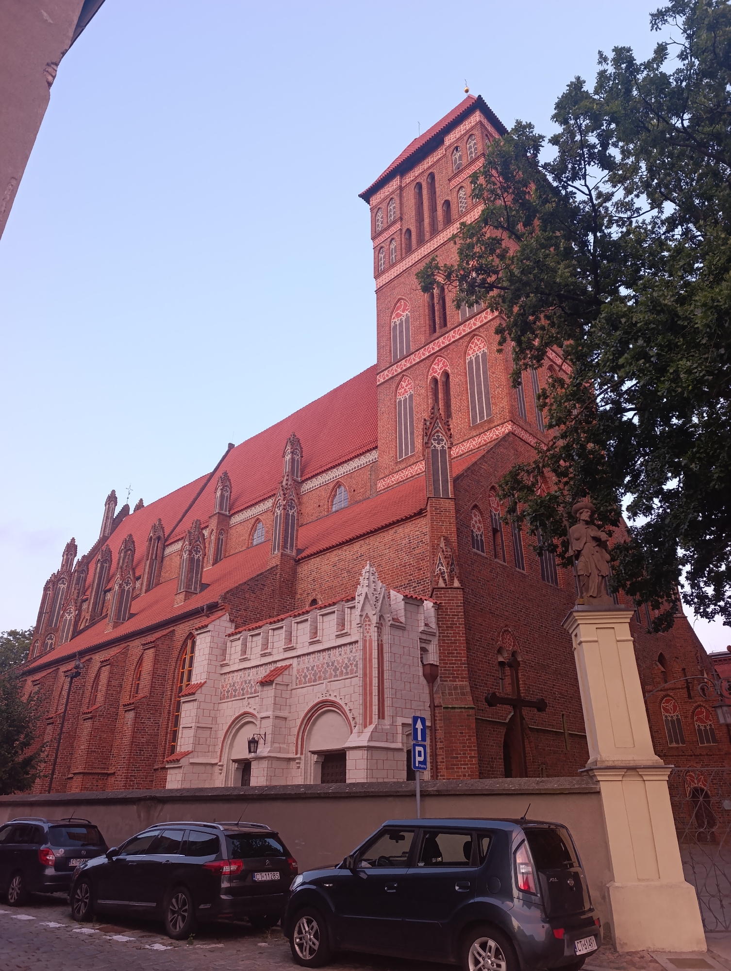 The image shows a brick Gothic cathedral with a red tiled roof, likely located in Toruń, Poland, due to its architectural style and the presence of Polish license plates on parked cars. The cathedral features a tall, slender tower with arched windows and decorative brickwork. A statue of a person stands in front of the cathedral on a pedestal. In the foreground, several dark-colored cars are parked along a cobblestone street. A large tree with green leaves partially obscures the cathedral tower. The sky is clear and light blue.