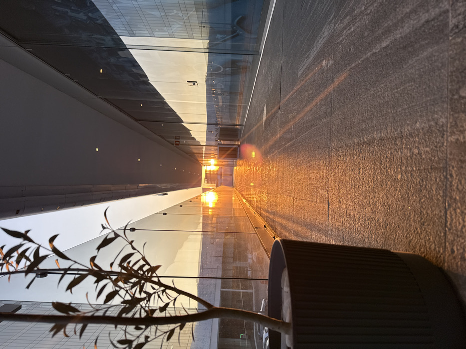 An abstract shot reveals a corridor or walkway bathed in golden sunlight. Glass walls reflect the scene, creating a mirrored effect. A potted plant, seemingly artificial, appears in the foreground. The walkway's surface has a rough texture, contrasting with the smooth glass. The lighting creates strong shadows, highlighting the corridor's depth and architectural details. The photograph is oriented with the plant in the bottom left.