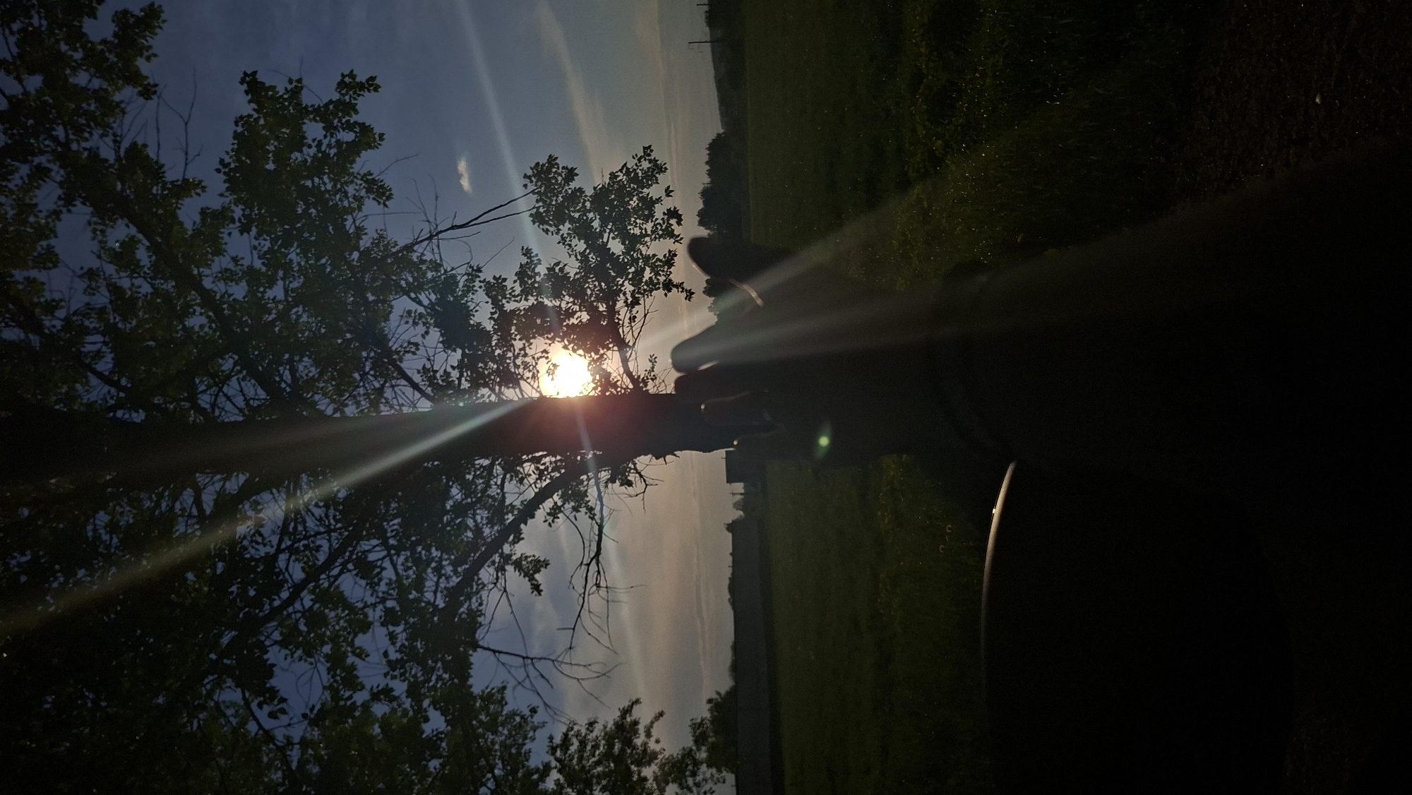 The image depicts a landscape under bright sunlight. In the foreground, a tree with dense foliage stands against a sky with varying hues of blue and white clouds. Sunlight filters through the tree branches, creating a lens flare effect. In the midground, a green field stretches towards the horizon, bordered by a line of trees in the distance. A dark, indistinct object occupies the right side of the frame, partially obscuring the view. The overall scene suggests a rural setting, potentially a field or meadow on the edge of a forest. The location is Забалоцкі сельскі Савет, Belarus. There are no people visible in the image.