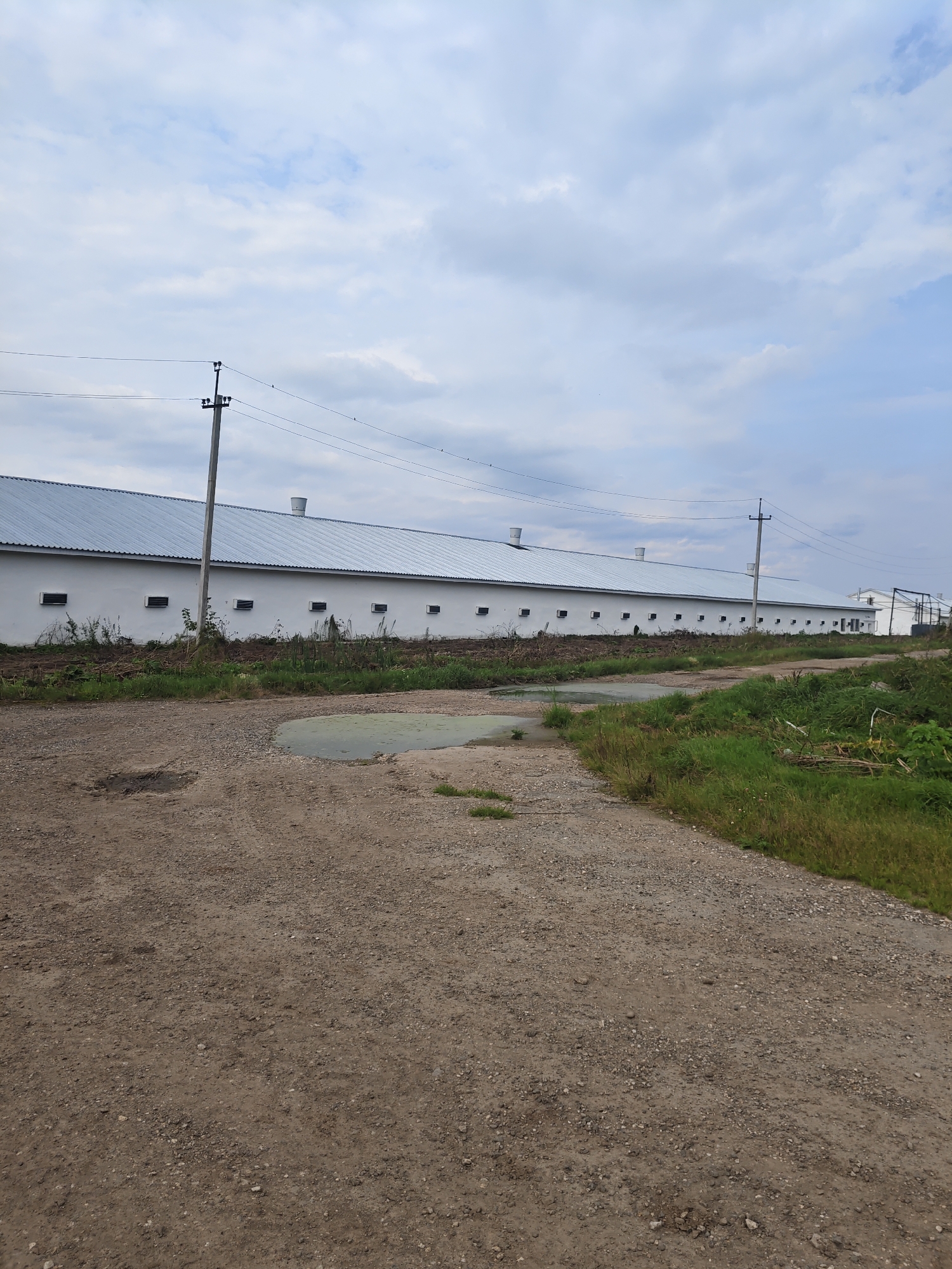 A long, white, rectangular building with a metal roof stretches across the frame, running parallel to a dirt road. The building has a series of small, dark, rectangular openings evenly spaced along its facade. Several ventilation pipes are visible on the roof, and a utility pole stands in front of the building, with wires extending horizontally across the sky. The ground in the foreground is a rough dirt path with some puddles and sparse vegetation along the edges. The sky is overcast with a mix of grey and white clouds. The scene appears to be an agricultural or industrial facility in an open area.