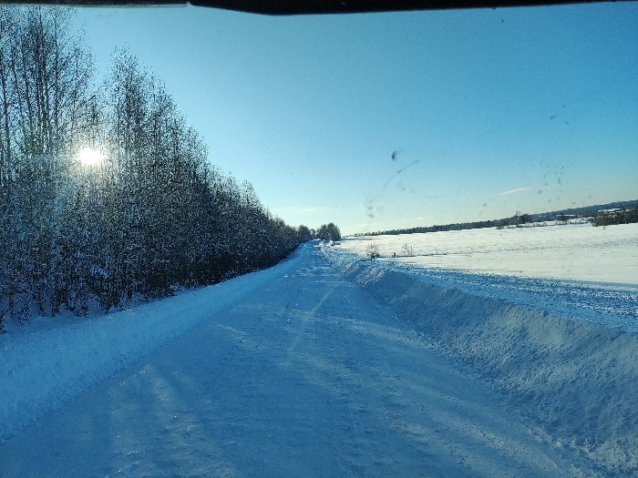 The image depicts a winter landscape in Малая Уса, Russia, as viewed from inside a vehicle, evidenced by the visible top edge and smudges on a windshield. A snow-covered dirt or unpaved road occupies the foreground and recedes centrally into the distance, displaying visible tire tracks. To the left of the road, a dense row of bare deciduous trees, covered in light snow, parallels the road. The sun is positioned low on the horizon, partially obscured by these trees on the far left, casting a strong sunburst effect. To the right, a flat, expansive field of undisturbed snow extends to the horizon, separated from the road by a packed snowbank. The sky is clear and bright blue. No individuals, animals, or other vehicles are visible in the frame.