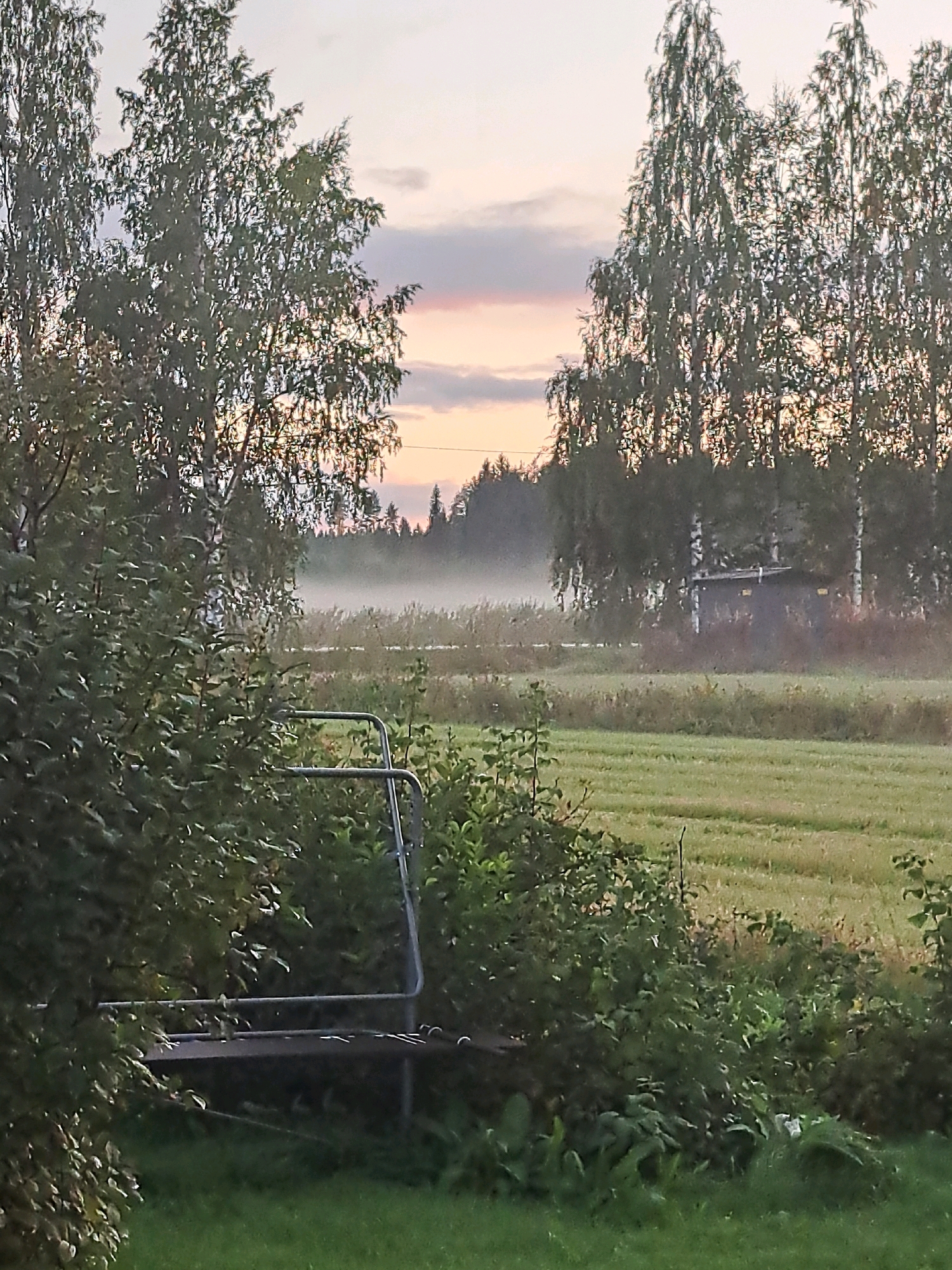 The image depicts a misty rural landscape at dawn or dusk, likely in Toholampi, Finland. The foreground features dense green foliage and the edge of a trampoline with a metal frame. Beyond this, a field stretches out, partially obscured by a low-lying mist that blankets the middle ground. In the background, a line of trees, primarily birch trees with their distinctive white bark, marks the horizon, with a small building or structure partially visible amongst them. The sky above displays a soft gradient of colors, ranging from pale pinks and oranges near the horizon to a muted greyish-blue higher up, suggesting either sunrise or sunset. The overall atmosphere is serene and quiet, characteristic of a Finnish countryside setting.
