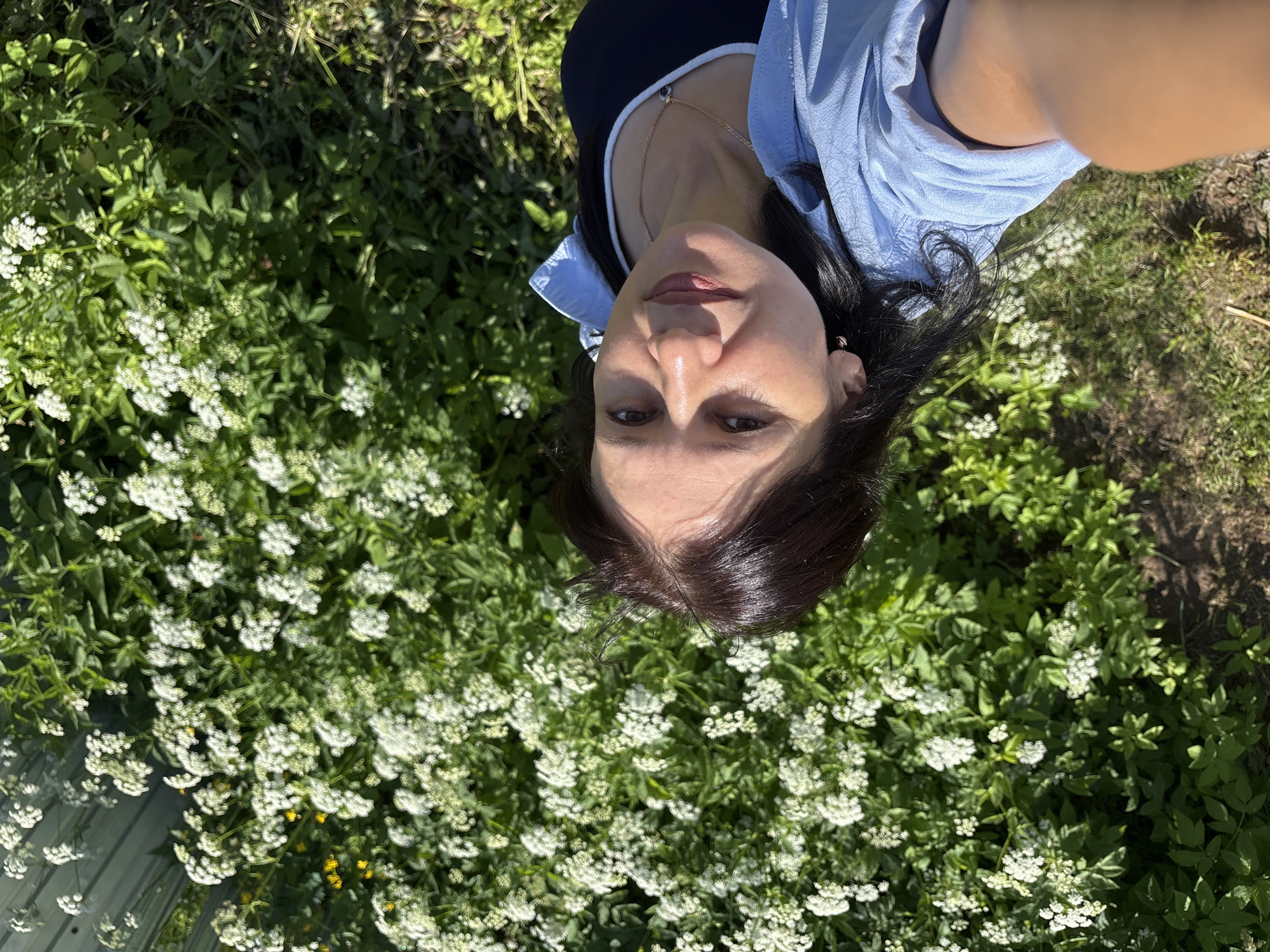 A woman is taking a selfie outdoors, with a dense patch of white wildflowers and lush green foliage filling the background. The woman has dark hair and is wearing a light blue collared shirt over a dark navy top, and a delicate gold necklace. She is positioned in the lower left quadrant of the frame. The lighting suggests it is daytime. The scene appears to be in a natural, overgrown area, possibly a park or garden. The context provided indicates this is likely in Chaikovsky, Russia.