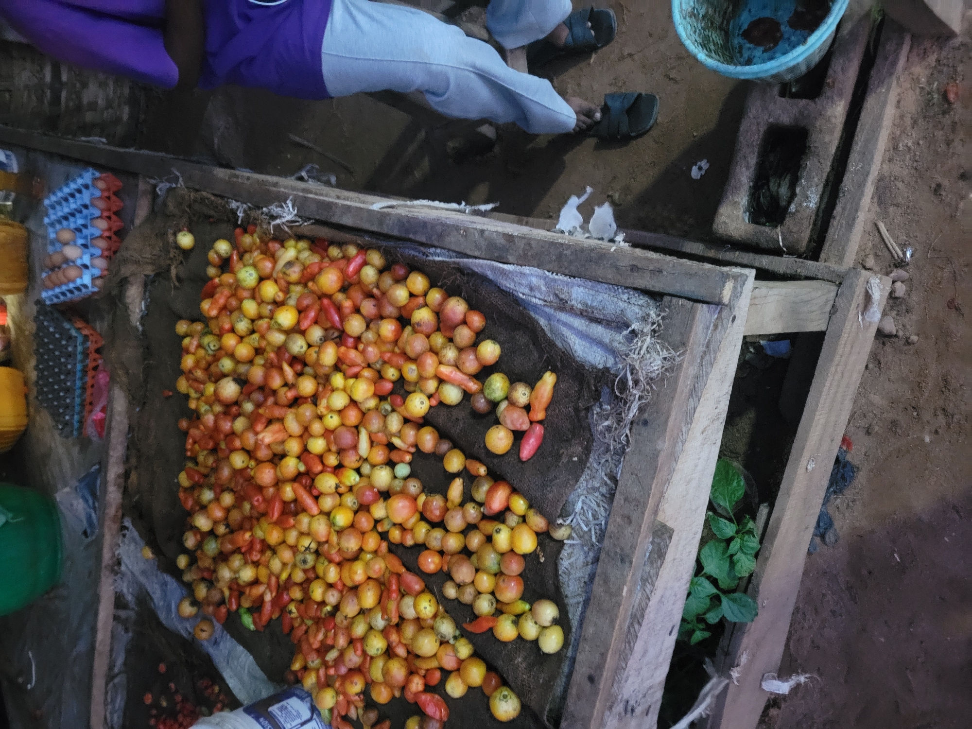 A low-angle, outdoor shot captures a market stall laden with a large pile of ripe tomatoes. The tomatoes, varying in shades of red and yellow, are spread across a dark fabric on a wooden table. To the right of the tomatoes, a person wearing a purple shirt and light gray pants stands, their feet clad in dark sandals. In the background, several crates of eggs are visible, some filled and others empty. The ground beneath the stall is rough and sandy. Below the table, a small plant with green leaves is visible in a dark container. A blue bucket, partially filled with water and dark objects, sits to the far right.