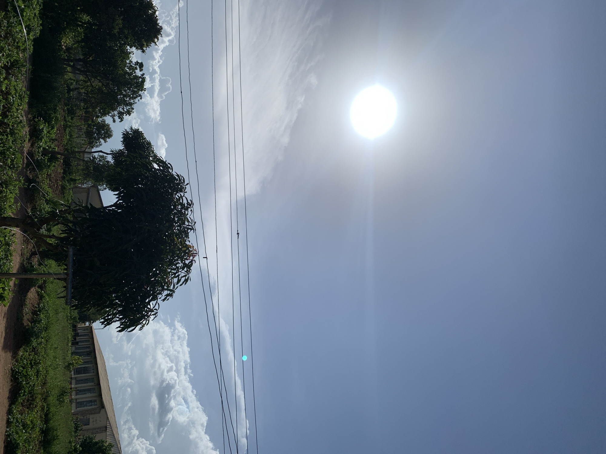 The image shows a clear blue sky with the sun prominently visible in the upper left quadrant, casting a bright glare. Wispy white clouds are scattered across the sky, with more substantial cumulus clouds forming near the horizon. Several power lines are strung horizontally across the frame, obscuring parts of the sky and landscape. In the foreground, a large, leafy tree dominates the center of the image, its dark foliage contrasting with the bright sky. To the right of the tree, a long, low building with a light-colored roof and numerous windows is visible, set against a backdrop of green vegetation. To the left, more trees and greenery are present. The ground appears to be unpaved. The overall scene suggests an outdoor setting, possibly rural or semi-rural, under a bright sunny sky. Based on the provided location of Kuru Karama, Nigeria, the image likely depicts a typical daytime scene in that area, characterized by the sun, vegetation, power lines, and local architecture.