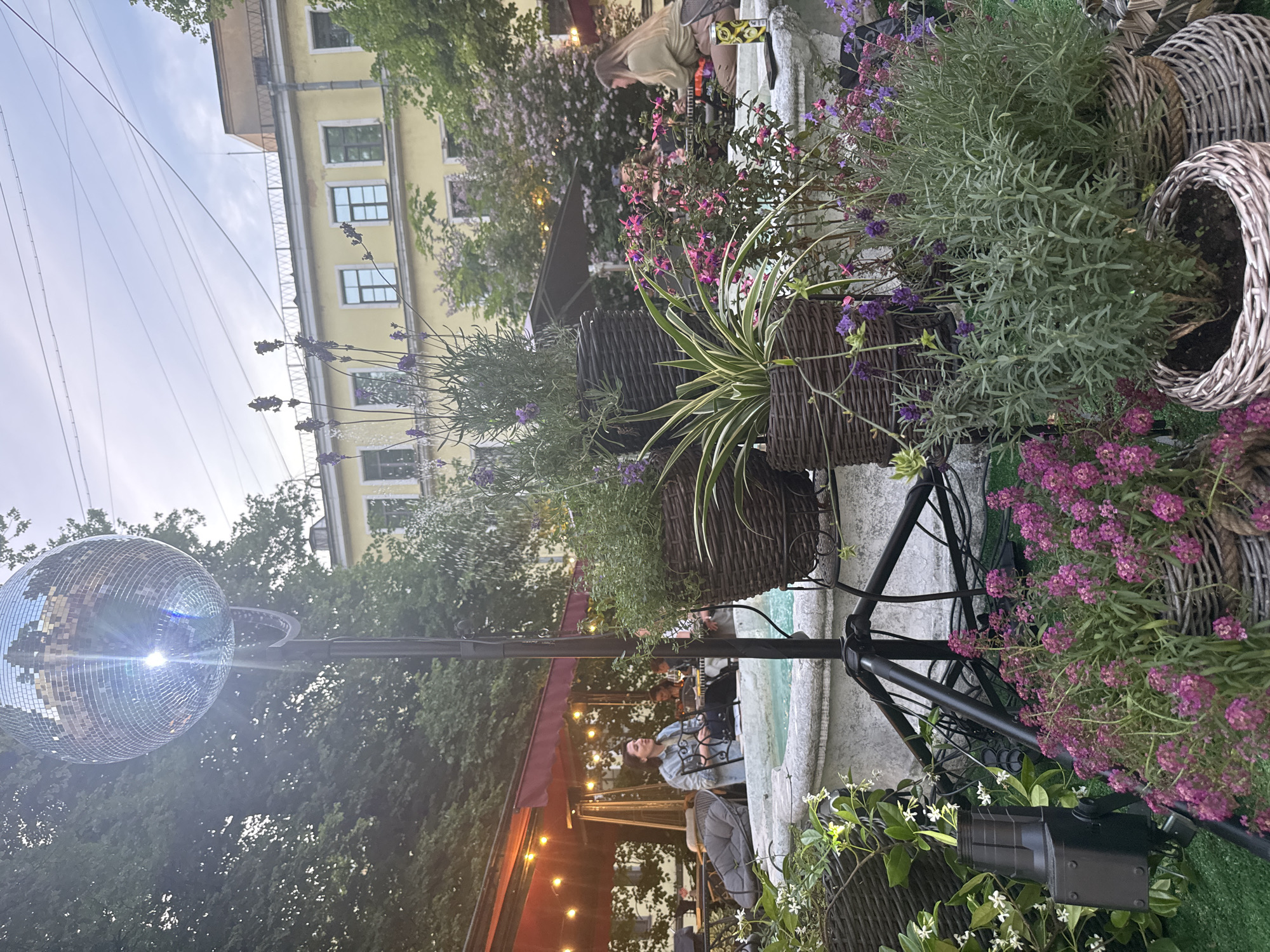 An outdoor cafe scene is depicted at twilight, likely in a courtyard or plaza within the city of Saint Petersburg, Russia, based on the architectural style of the background building. In the upper left quadrant, a large, mirrored disco ball on a black stand reflects light, creating a prominent starburst. Below it, a black tripod stand and a black spotlight are positioned on artificial green turf, surrounded by various potted plants.
The foreground and mid-ground are densely populated with an assortment of plants and flowers, primarily housed in dark and light woven baskets. These include tall purple lavender spikes, green and white striped spider plants, clusters of small purple and pink flowers (possibly alyssum or fuchsia), and climbing vines with small white blossoms (possibly jasmine).
A stone or concrete fountain basin occupies the center-mid ground, with water visibly spraying. Beyond the fountain, to the left, a cafe seating area with red awnings is visible. String lights with warm yellow bulbs are strung beneath the awnings, and outdoor heaters are present. A woman with dark hair, wearing a denim jacket, is seated at a table in this area, looking towards the right.
To the right of the fountain, another cafe section is visible under a large, dark umbrella. A woman with long light-brown hair, wearing a light-colored long-sleeved top and pants, is seated, leaning forward and appearing to play a stringed instrument, possibly a guitar, which rests on her lap. A yellow and black beverage can is placed on the fountain's edge near her.
The background features a light yellow, multi-story building with numerous rectangular windows. Its roofline includes a white lattice railing and some rooftop structures, possibly antennas. Overhead electrical wires crisscross the pale, cloudy sky above the building and surrounding trees. Dense green foliage from large trees frames the upper left and right portions of the scene.