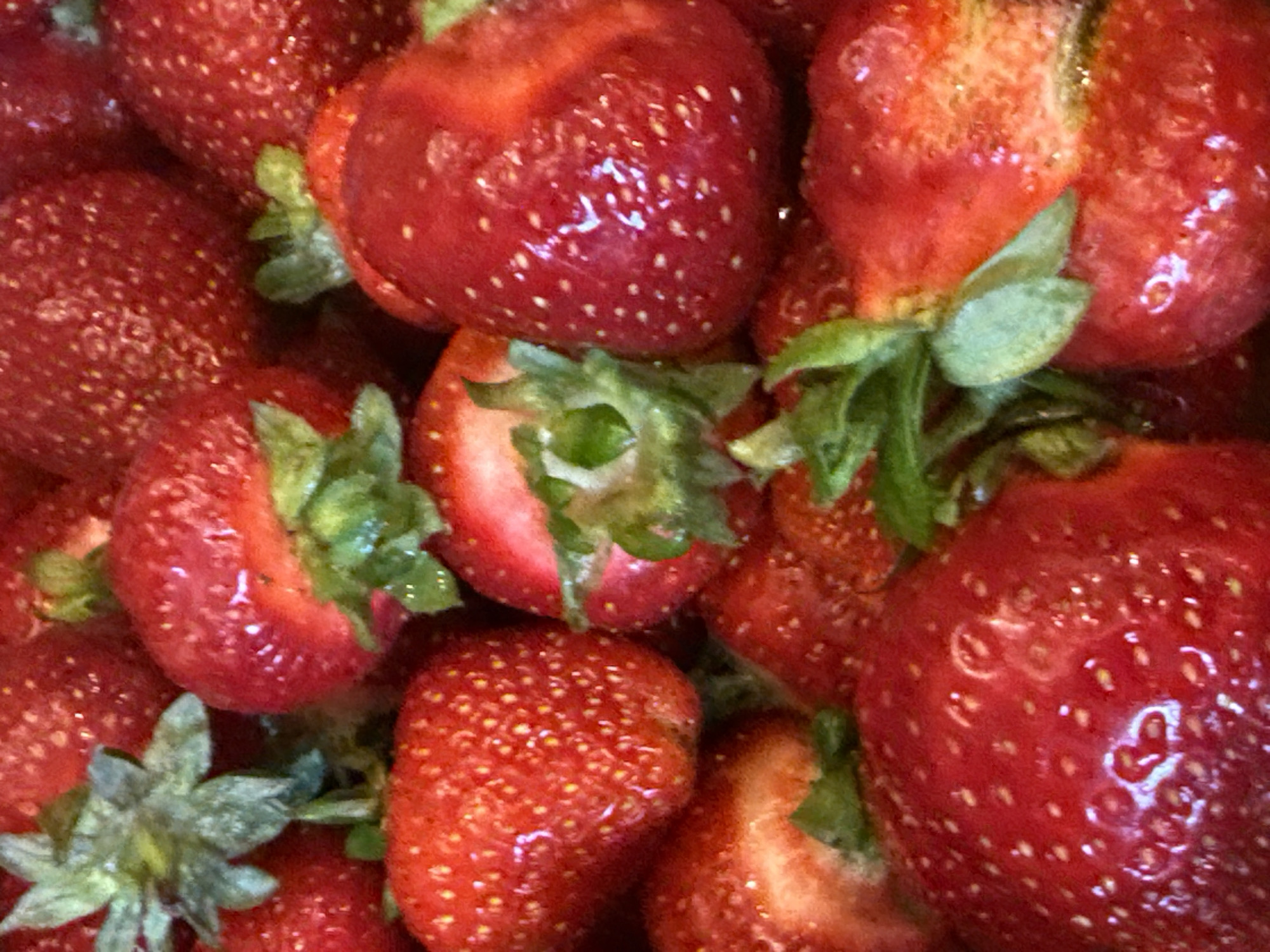 This is a close-up, high-angle shot of a pile of fresh, ripe strawberries. The strawberries are a vibrant red color, with a slightly glossy sheen, indicating they are juicy. Many of the strawberries have visible seeds, which are small and yellowish. Some of the strawberries have green leafy tops, known as calyxes, attached. The lighting suggests it might be daytime, as there are bright highlights on the surface of the berries, but no specific time of day can be determined. The scene is simple and focused entirely on the fruit, with no background elements visible. There is no text present in the image. The overall impression is one of freshness and natural abundance.