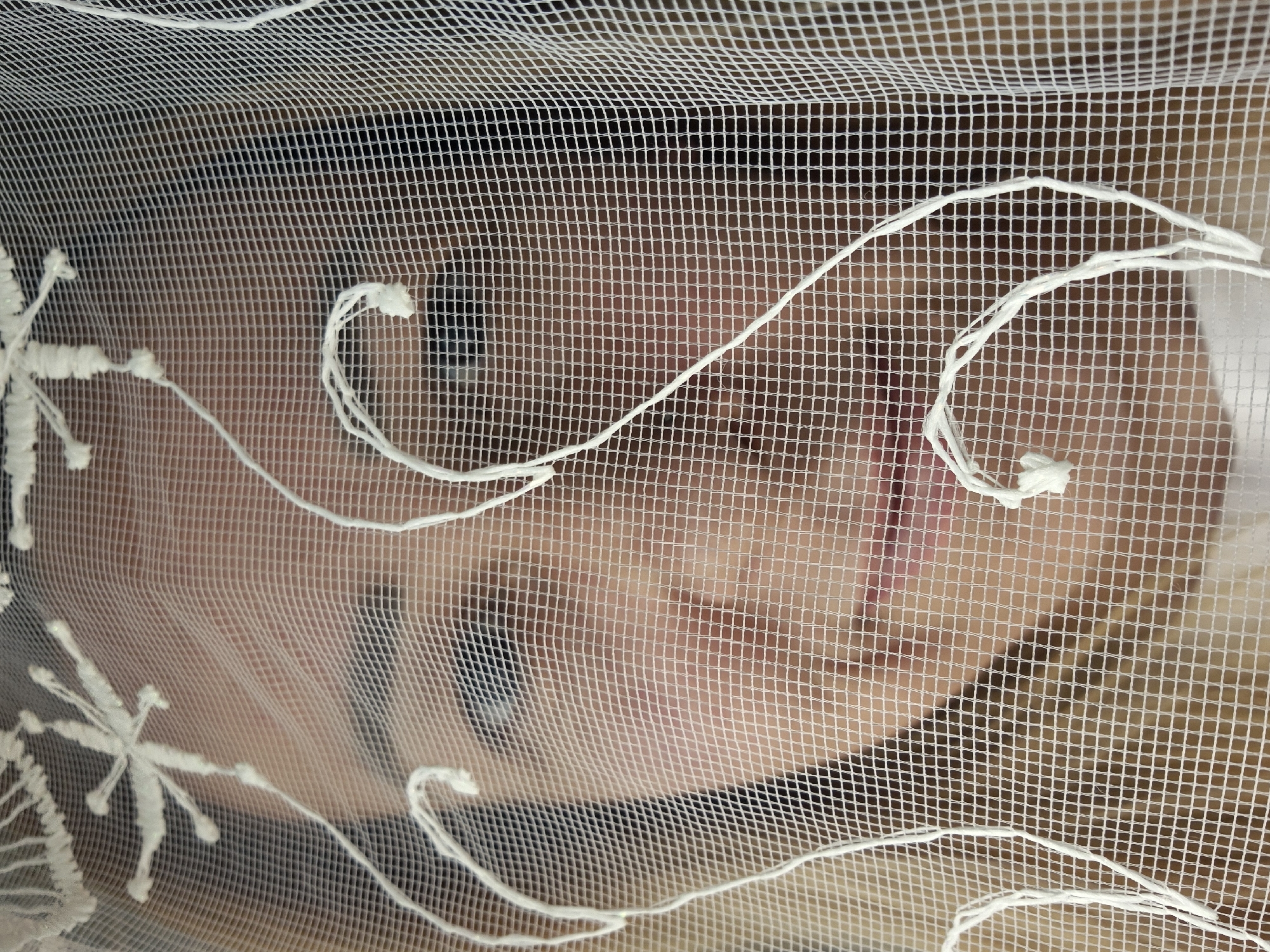 A close-up, medium shot captures a person's face obscured by a sheer white veil adorned with white floral embroidery. The veil's netting creates a grid pattern over the face, distorting the features. The person's skin tone is light. The visible parts of the face include a portion of the forehead, an eye with a dark pupil and iris, the bridge of the nose, and the mouth with red lipstick. The background is a uniform, out-of-focus light brown. The image is a studio portrait.