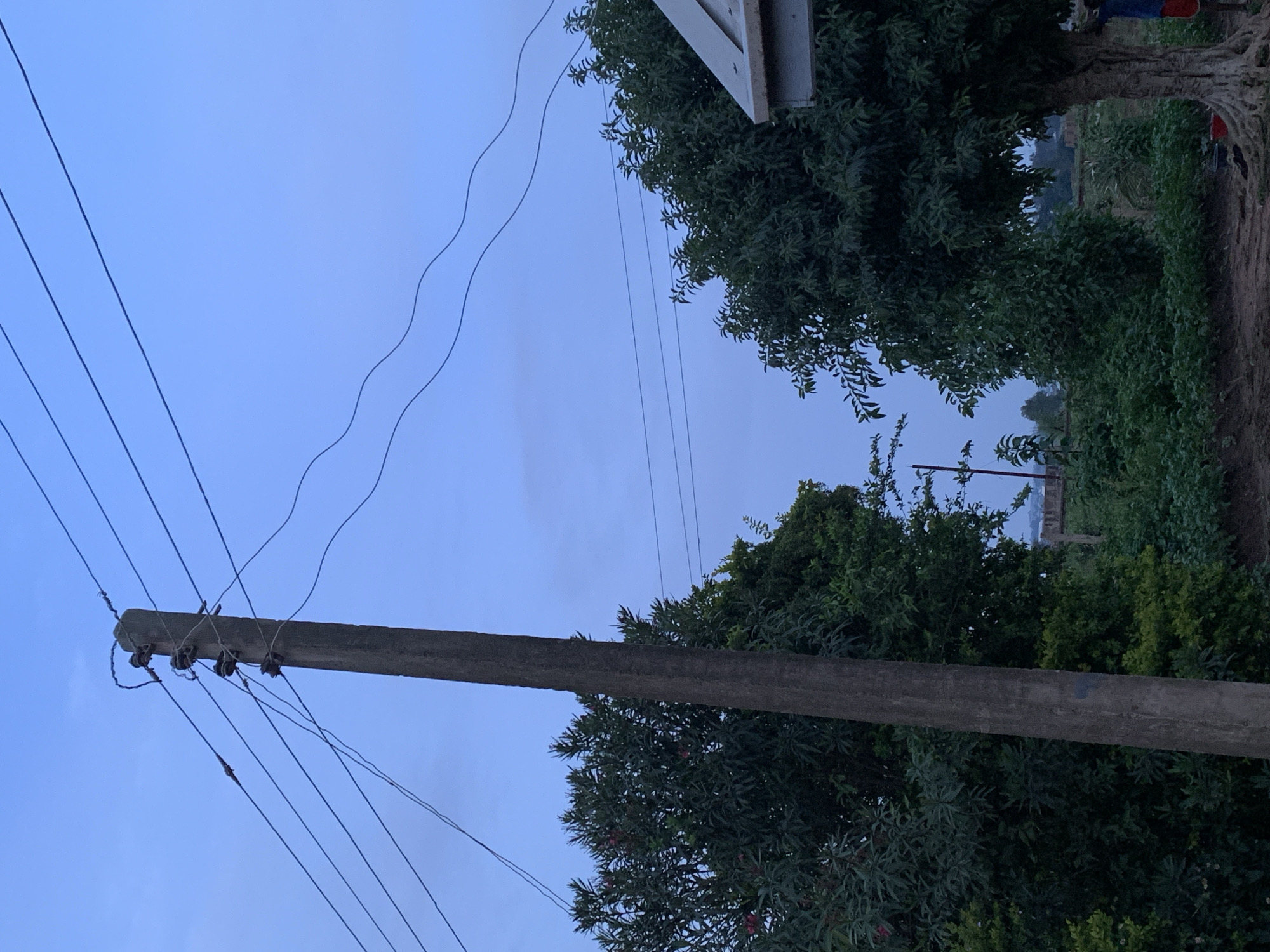 The image depicts a scene dominated by a thick concrete utility pole, angled diagonally across the frame, stretching from the bottom left towards the top right. Several dark power lines are attached to the pole, some appearing taut and others with a slight sag. The sky behind the pole is a uniform light blue, suggesting it is either early morning or late evening, or a day with overcast conditions.
To the right of the pole, lush green foliage from trees and bushes fills the mid and upper right portions of the image. The leaves are dense and varied in shade, creating a natural backdrop. In the far background on the right, hints of structures and possibly more vegetation are visible, though they are out of focus and less distinct. The ground beneath the foliage on the right appears to be a dirt path or uneven terrain.
The overall mood is serene and somewhat rural, characteristic of a developing area like Kuru Karama, Nigeria. There is no visible text in the image, and no people or specific events are clearly depicted. The focus is on the juxtaposition of man-made infrastructure (the utility pole and wires) with the natural environment (trees and sky).