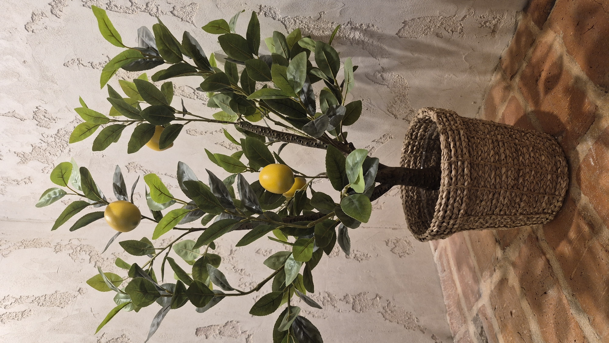 A small, artificial lemon tree with green leaves and several yellow lemons sits in a woven basket. The basket rests on a brick floor. Behind the tree, a textured, off-white wall is visible. The scene is lit from the side, casting shadows on the wall and floor. There are no people present, and no specific urban context is discernible. The image does not provide any information that would allow for its location in Daugavpils, Latvia.