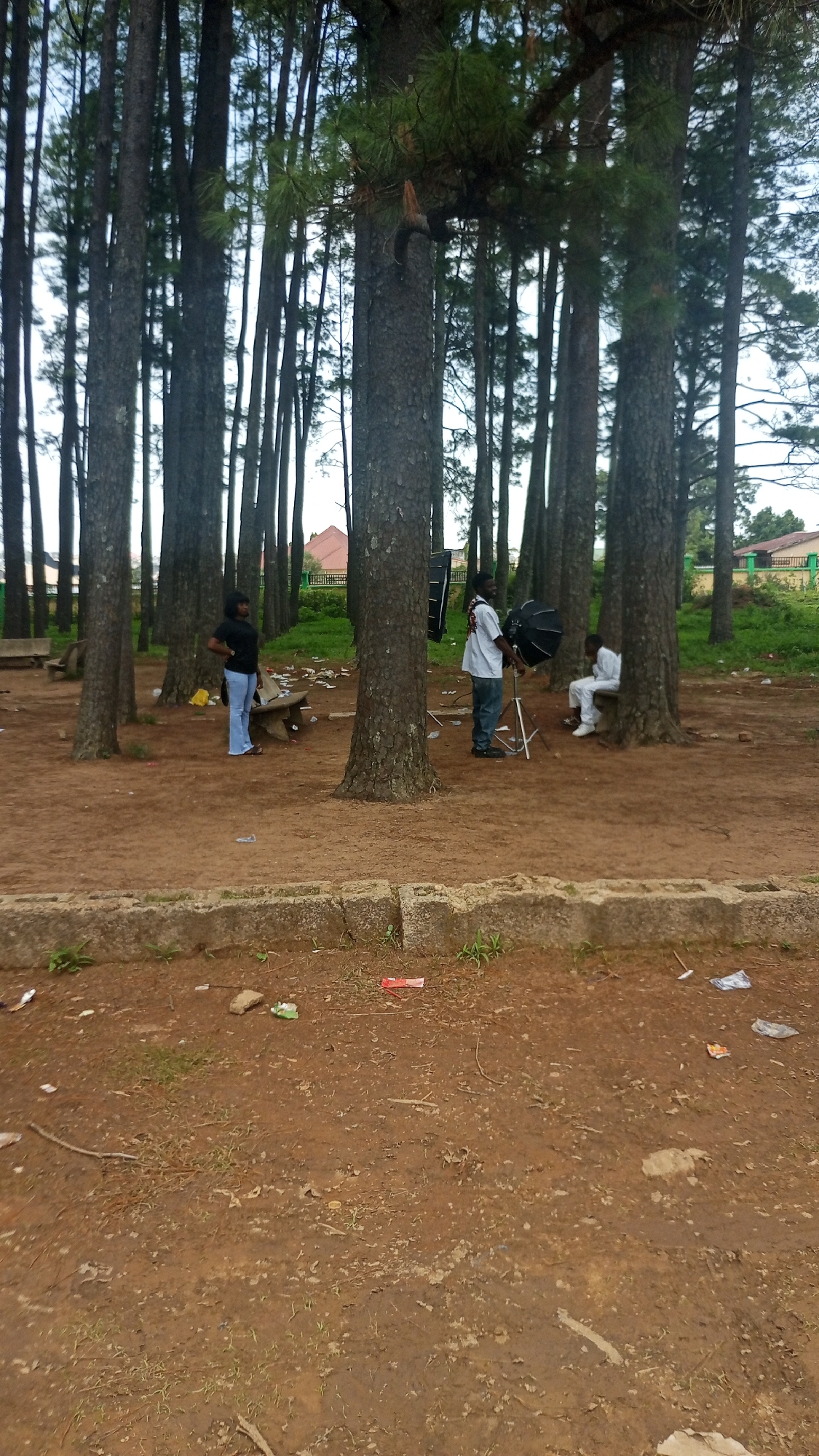 The image depicts an outdoor scene in Jos, Nigeria, characterized by a grove of tall, thin trees. Several individuals are present: a woman standing with her hands on her hips, a man adjusting lighting equipment, and another person seated on a bench between trees. The lighting equipment consists of a light stand, an umbrella reflector and a rectangular soft box. The ground is a mix of dirt and sparse vegetation, littered with debris. In the background, there's a building with a fence. A low concrete border separates the foreground from the tree area.