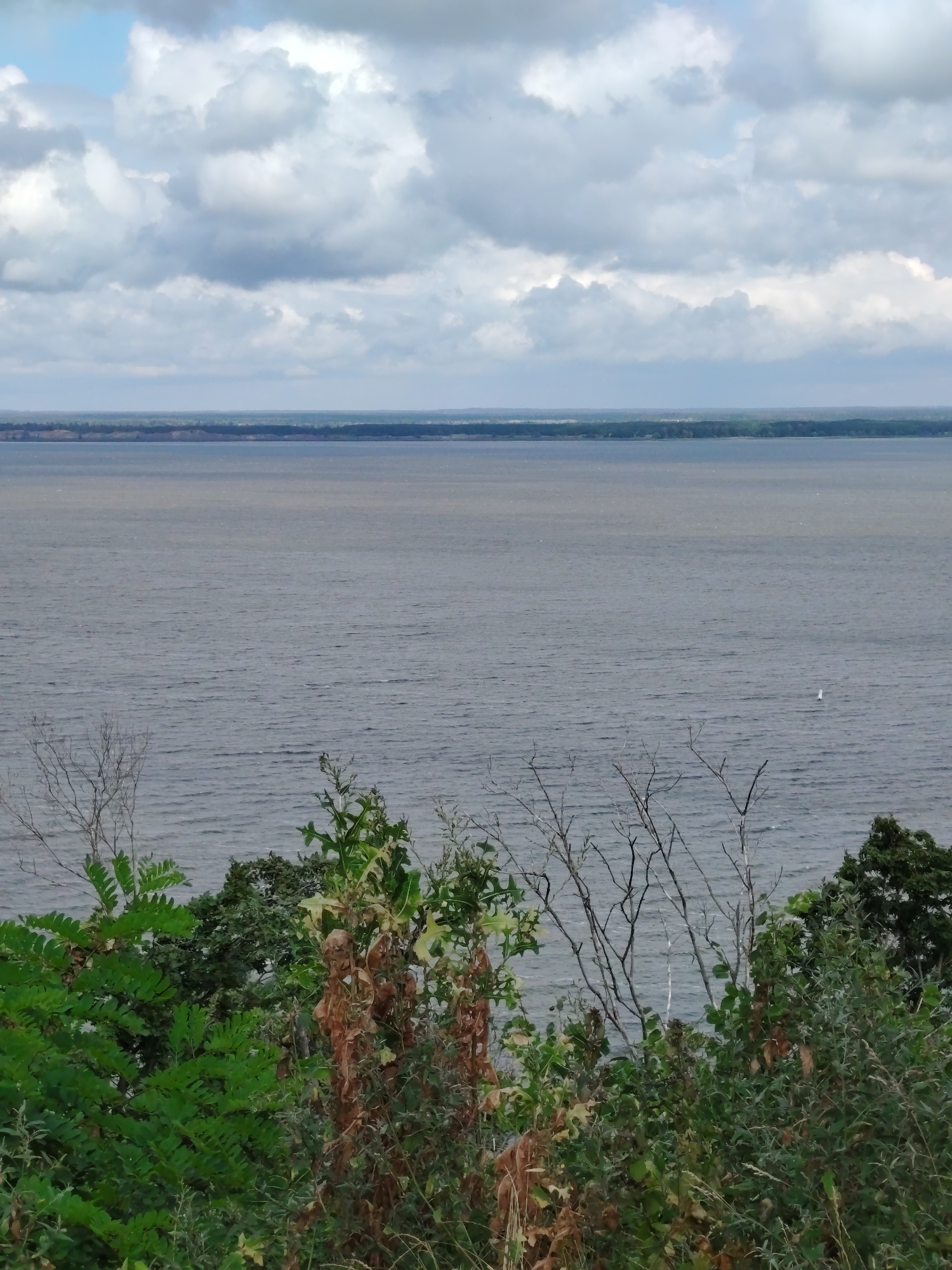 This is a landscape photograph taken from a high vantage point overlooking a wide body of water. In the foreground, lush green foliage and dry, brown vegetation are visible, suggesting a natural setting. Beyond the vegetation, the water stretches out, appearing somewhat choppy with ripples. In the distance, a long, thin strip of land is discernible, covered with trees, which forms the horizon line. Above the horizon, a cloudy sky dominates the upper portion of the image, with patches of blue sky peeking through the gray and white clouds. The overall scene depicts a serene, natural environment. The location is identified as Balyko-Shchuchynka, Ukraine. There are no people, animals, or man-made structures other than a small, distant white object on the water, possibly a buoy or a small boat.