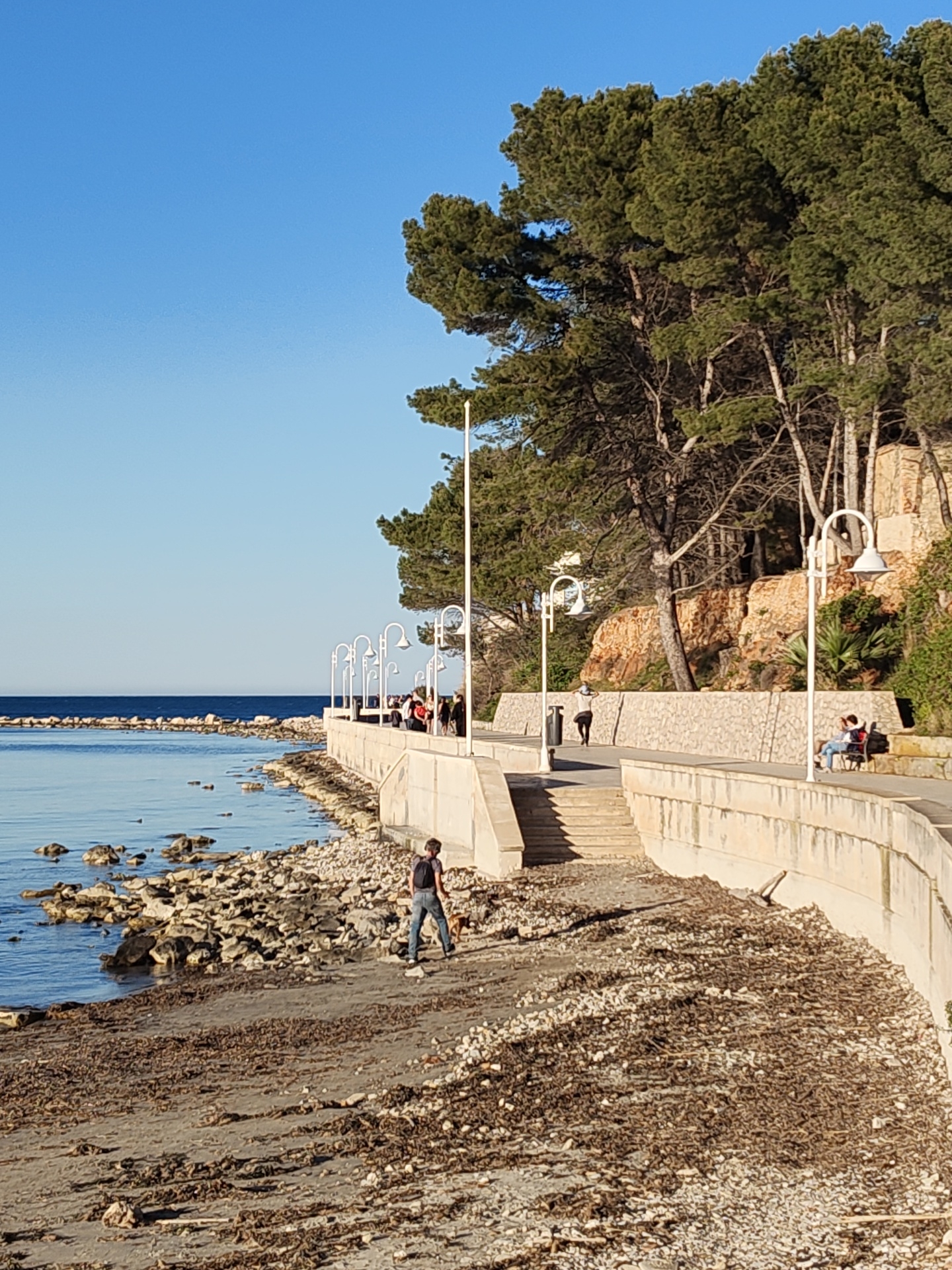 The image presents a sunny coastal scene in Dénia, Spain, showcasing a public promenade adjacent to a rocky beach and the calm Mediterranean Sea.
In the foreground, a rocky and pebble-strewn beach is covered extensively with dark brown, dried seaweed or organic debris. A person in a dark shirt and backpack is walking along this beach, accompanied by a small, light brown dog.
Above the beach, a paved concrete promenade stretches across the midground, featuring a sturdy retaining wall and several decorative white streetlights with curved arms. People are visible strolling leisurely along the promenade, and further to the right, two individuals are seated on a bench, facing the sea. A set of concrete stairs connects the promenade to the beach below.
To the left, the clear, deep blue waters of the Mediterranean Sea extend to the horizon, with a rocky breakwater or natural formation visible near the shore. The upper background features a hillside densely covered with tall, green pine trees, typical of the region. The hillside also shows exposed light-colored rock formations and some sparse vegetation.
The sky is a vibrant, cloudless blue, dominating the upper left portion of the image and indicating fair weather. The lighting suggests it is daytime, possibly late afternoon, with distinct but not harsh shadows. The overall atmosphere appears peaceful and suitable for a relaxed stroll. No discernible text is visible within the image.