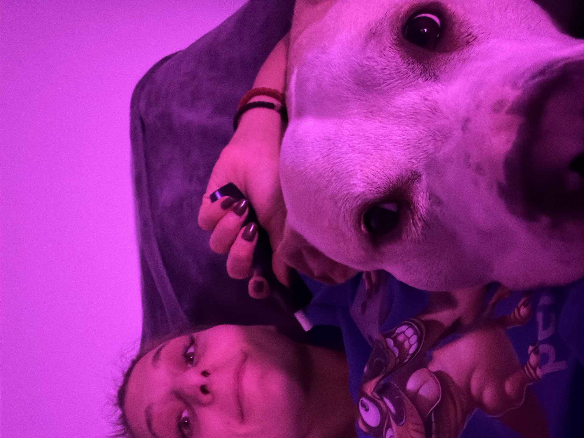 The image is a close-up, low-angle selfie taken in a domestic setting, possibly a living room, illuminated by pink lighting. A young woman with dark hair is partially visible on the left side of the frame, looking directly at the camera with her mouth slightly open. She is wearing a blue t-shirt with a cartoon character printed on it. Her right hand is raised, and she appears to be holding a remote control. A white dog, likely a pit bull mix, is in the foreground, filling the right and bottom portions of the frame. The dog's face is close to the camera, and its eyes are visible. The background consists of a dark couch and a pink wall. The image does not contain any discernible elements that would indicate a specific location within the city of Plovdiv, Bulgaria.