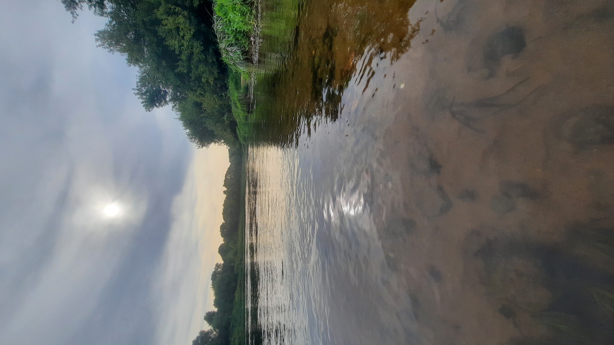The image shows a serene river scene, likely taken at the Dnieper River in Shklov, Belarus. The sun, partially obscured by clouds, shines brightly, casting a shimmering reflection on the calm water. Lush green trees and vegetation line the riverbanks, creating a natural, verdant backdrop. The shallow water reveals the riverbed, with submerged plants and sand visible beneath the surface. The sky is a mix of gray clouds and patches of light blue, suggesting either early morning or late afternoon light. The overall atmosphere is peaceful and tranquil, capturing the beauty of nature in this Belarusian landscape.